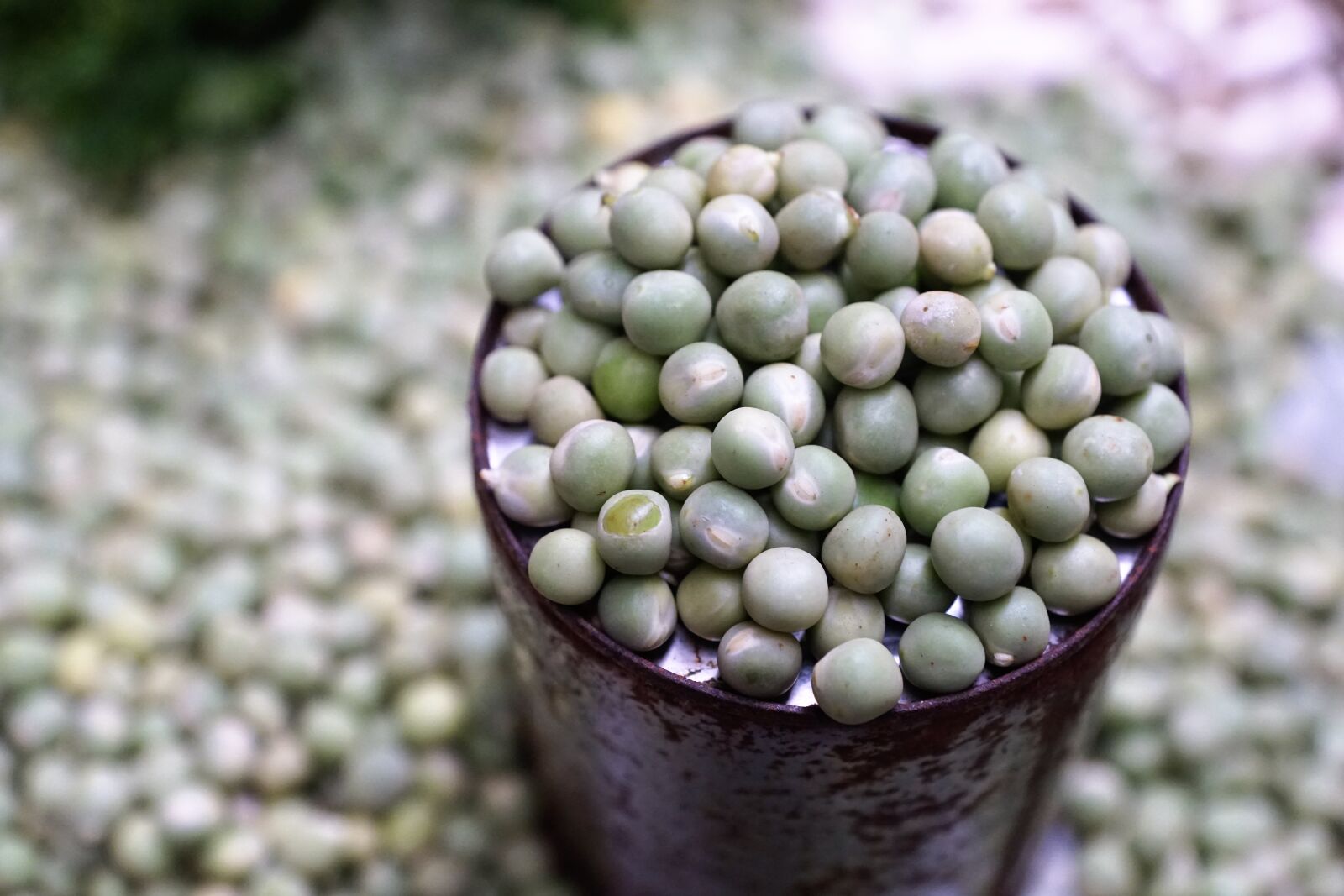 Sony ILCA-77M2 + Sony DT 16-50mm F2.8 SSM sample photo. Peas, green, bio photography