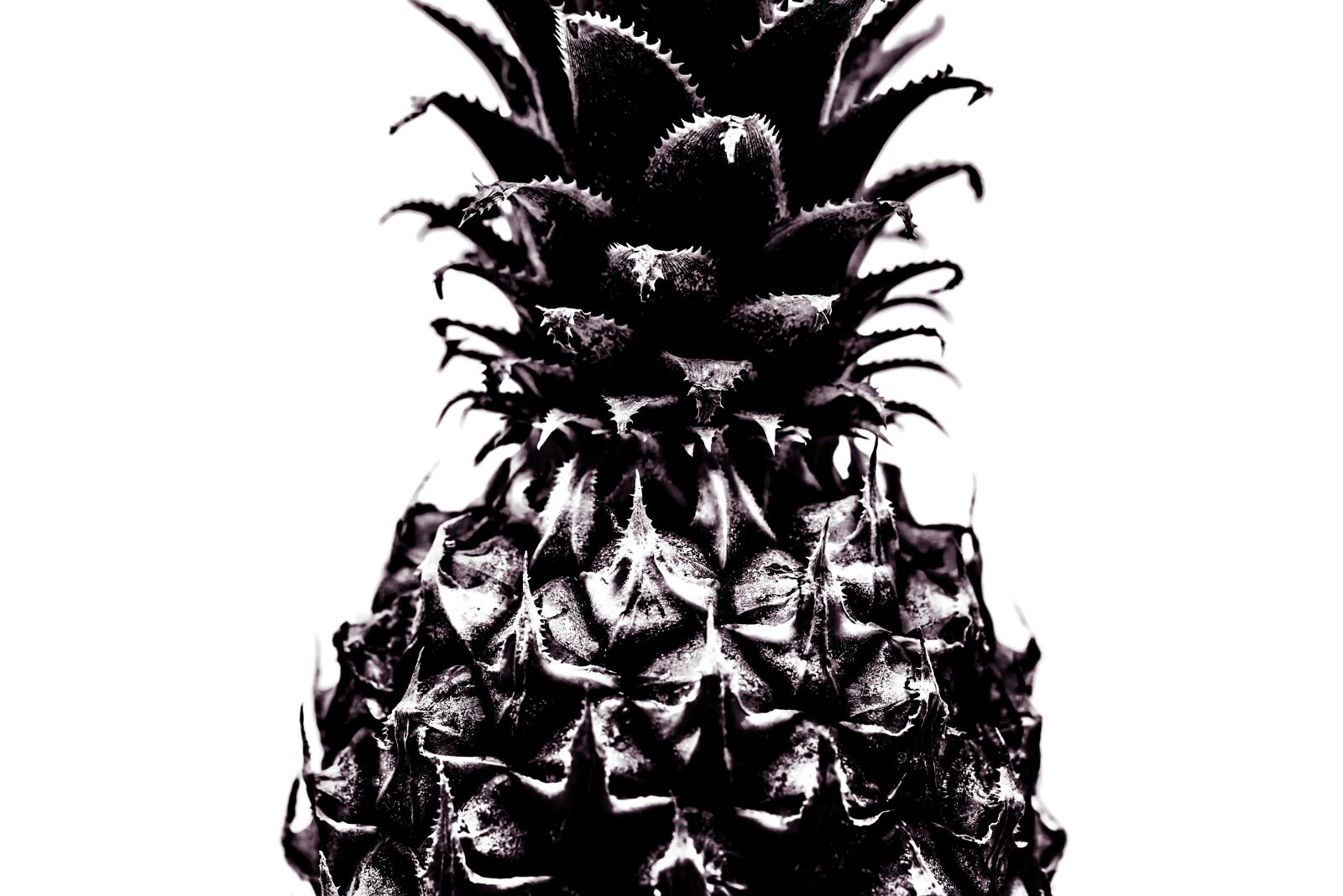Nikon D800 sample photo. Pineapple, isolated, bw photography