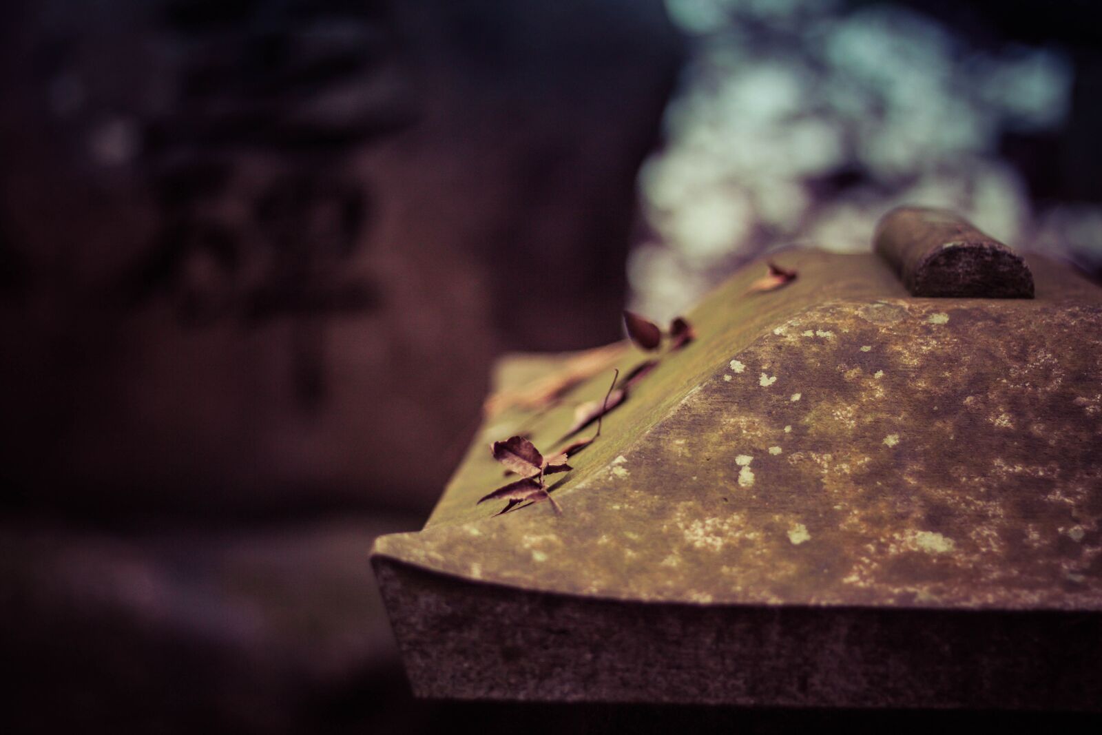 Canon EOS 50D + Canon EF 50mm F1.8 STM sample photo. Japan, stone, macro photography