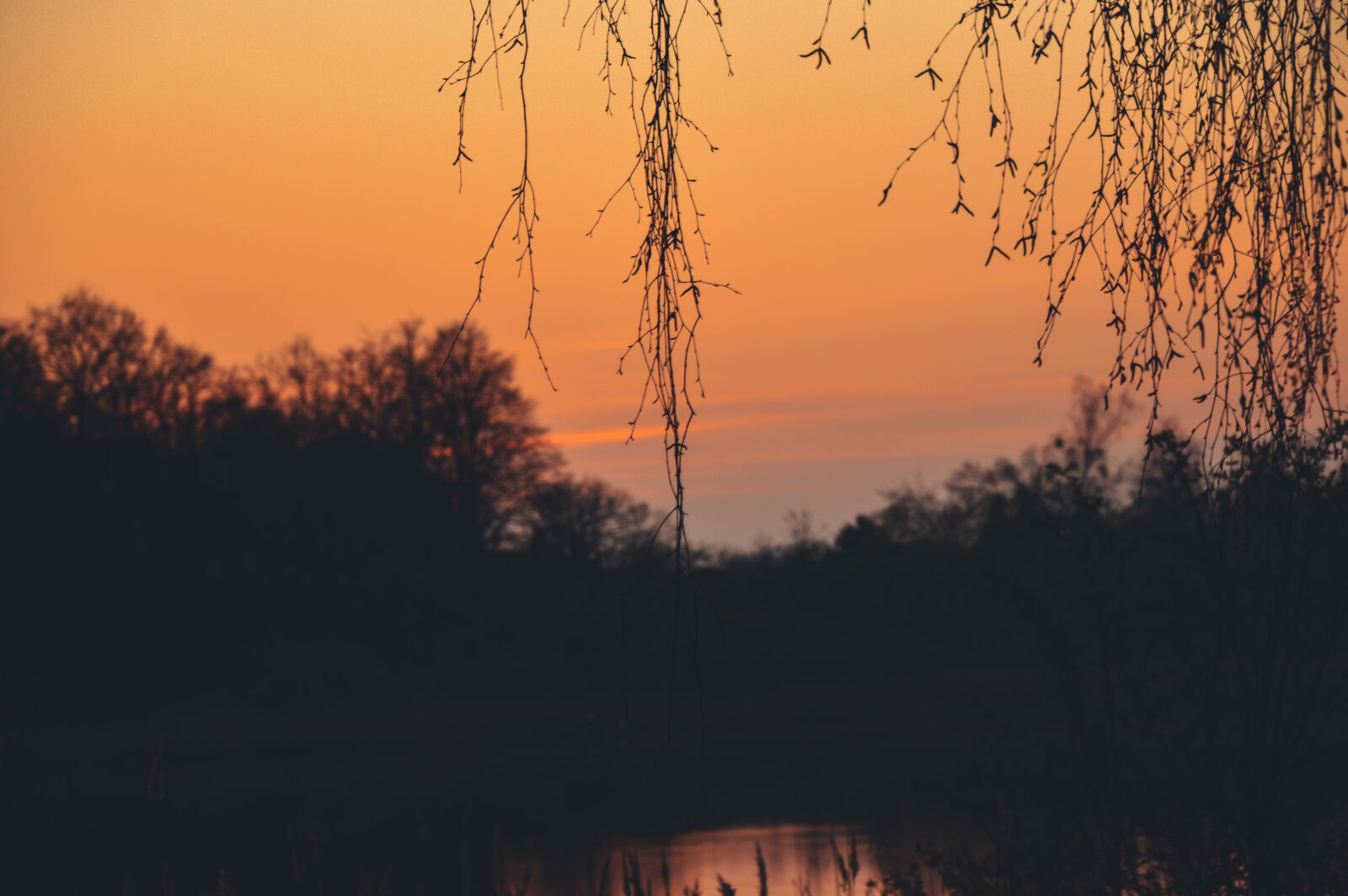 Nikon D3200 sample photo
