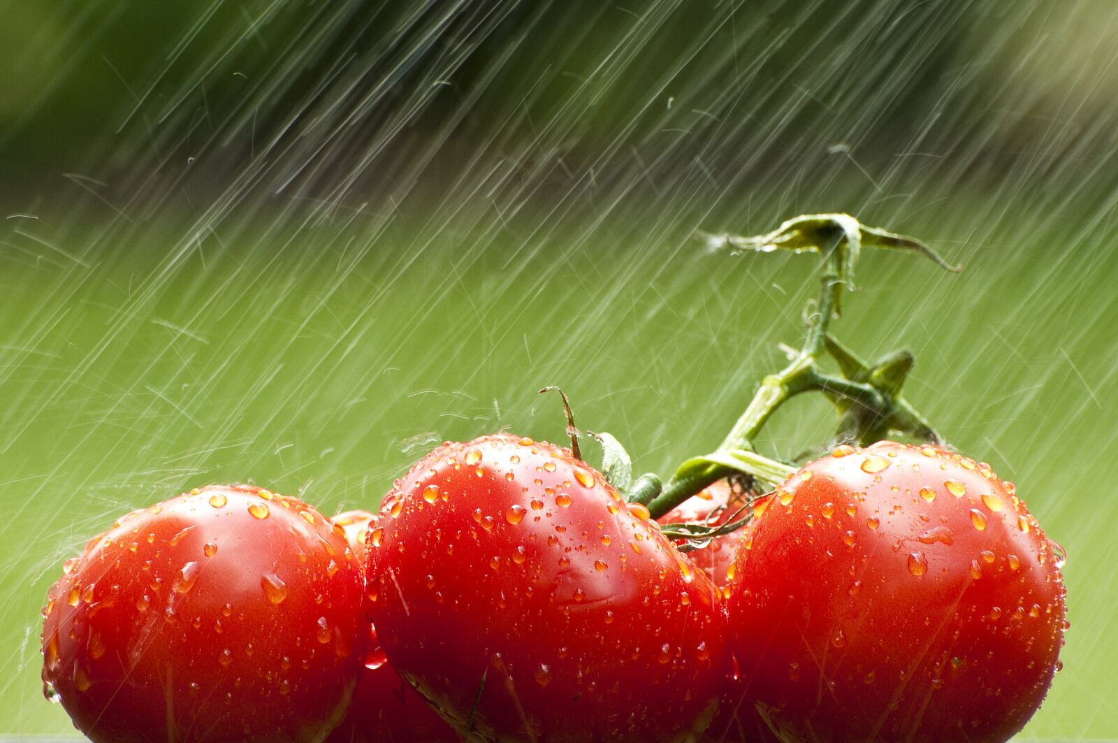 Nikon D300 sample photo. Tomato, vegetable, food photography