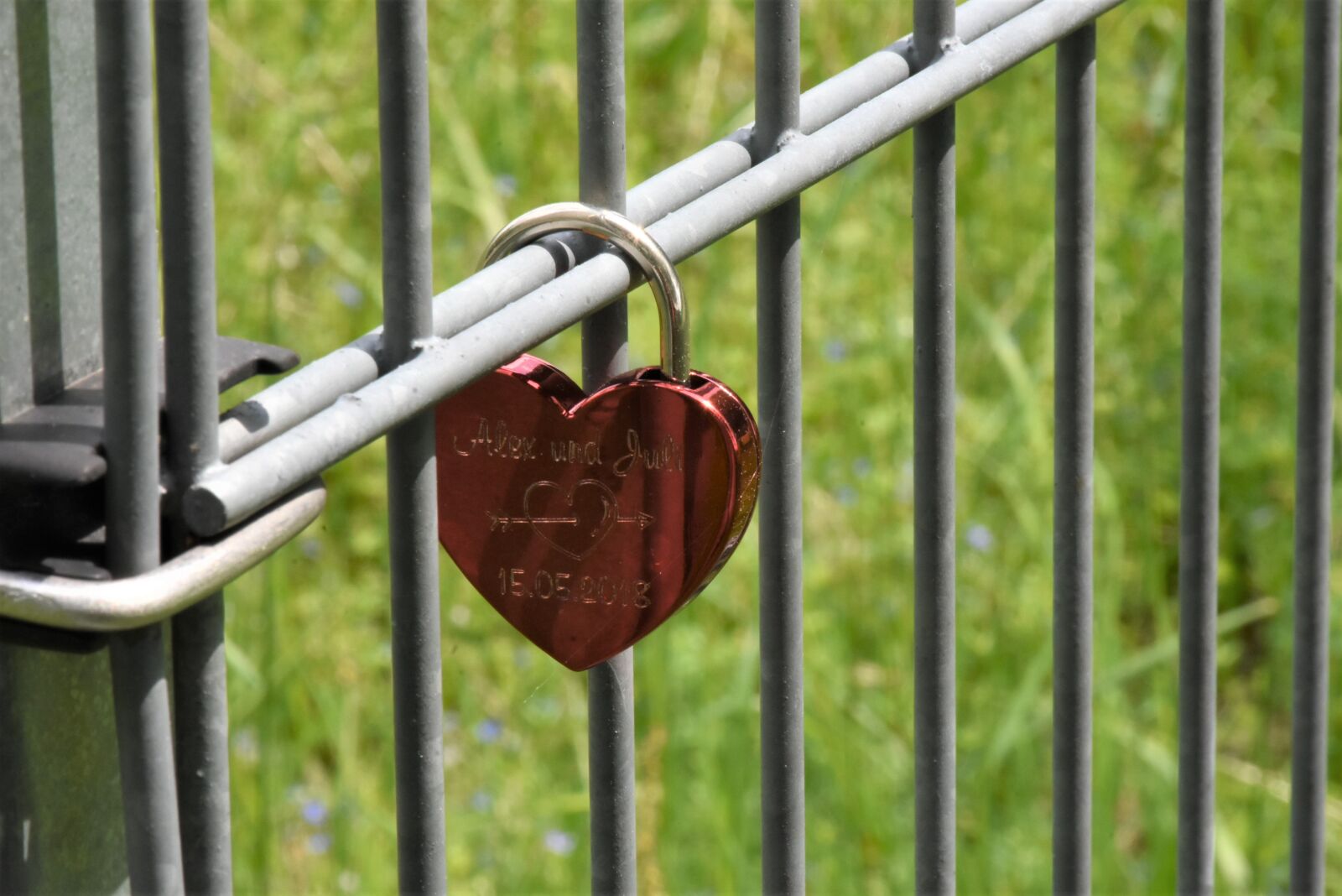Nikon D7200 sample photo. Heart, grid, love photography