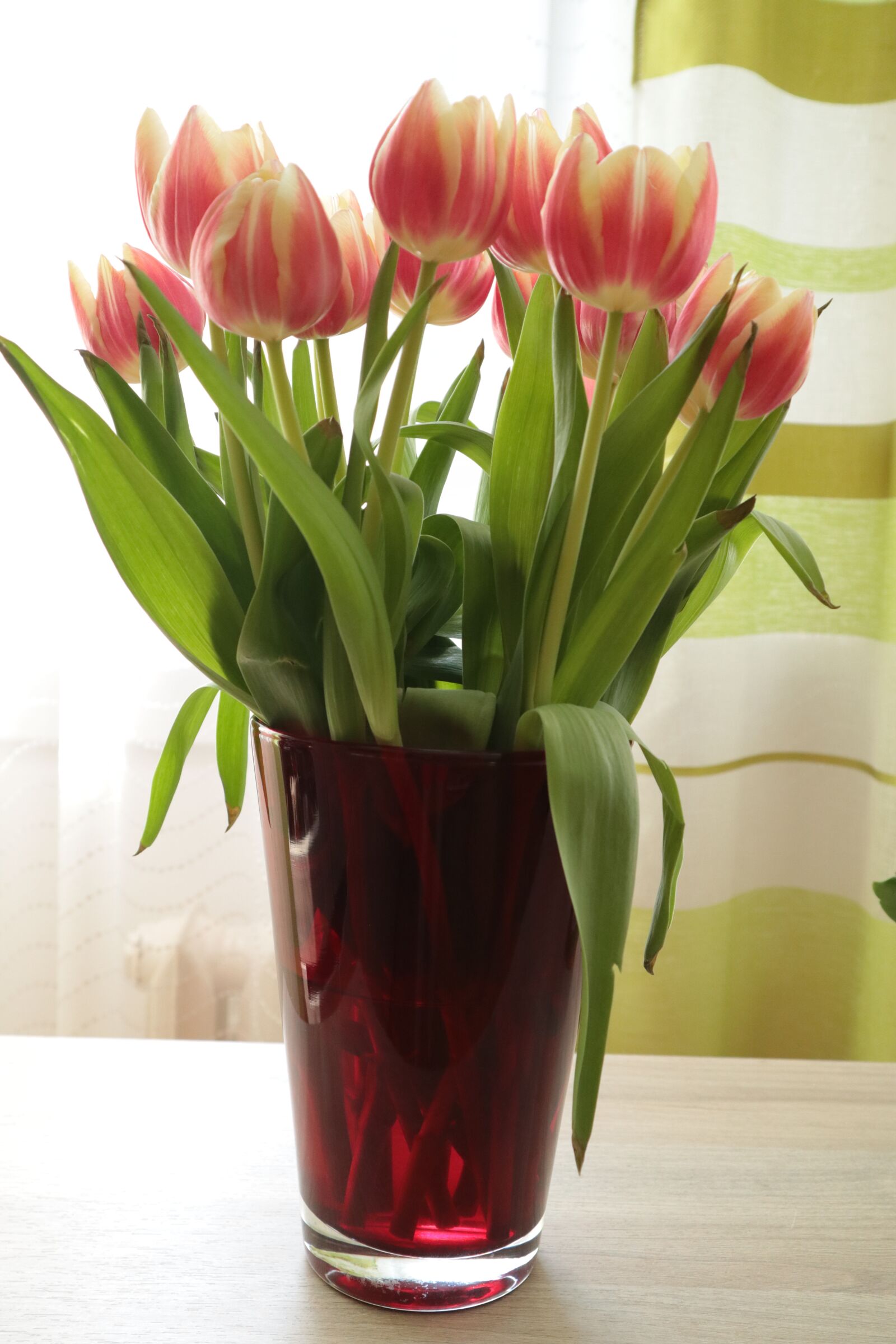 Canon EOS M100 sample photo. Flowers, vase, bouquet photography