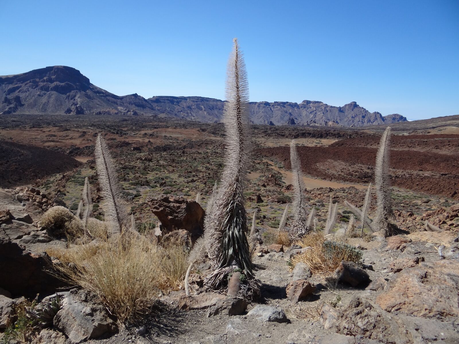 Sony Cyber-shot DSC-HX100V sample photo. Tenerife, desert, teide national photography