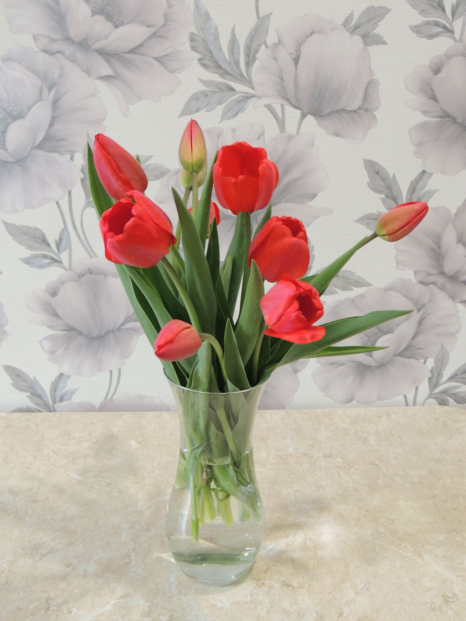 Nikon Coolpix P510 sample photo. Tulip, flower, flowers photography