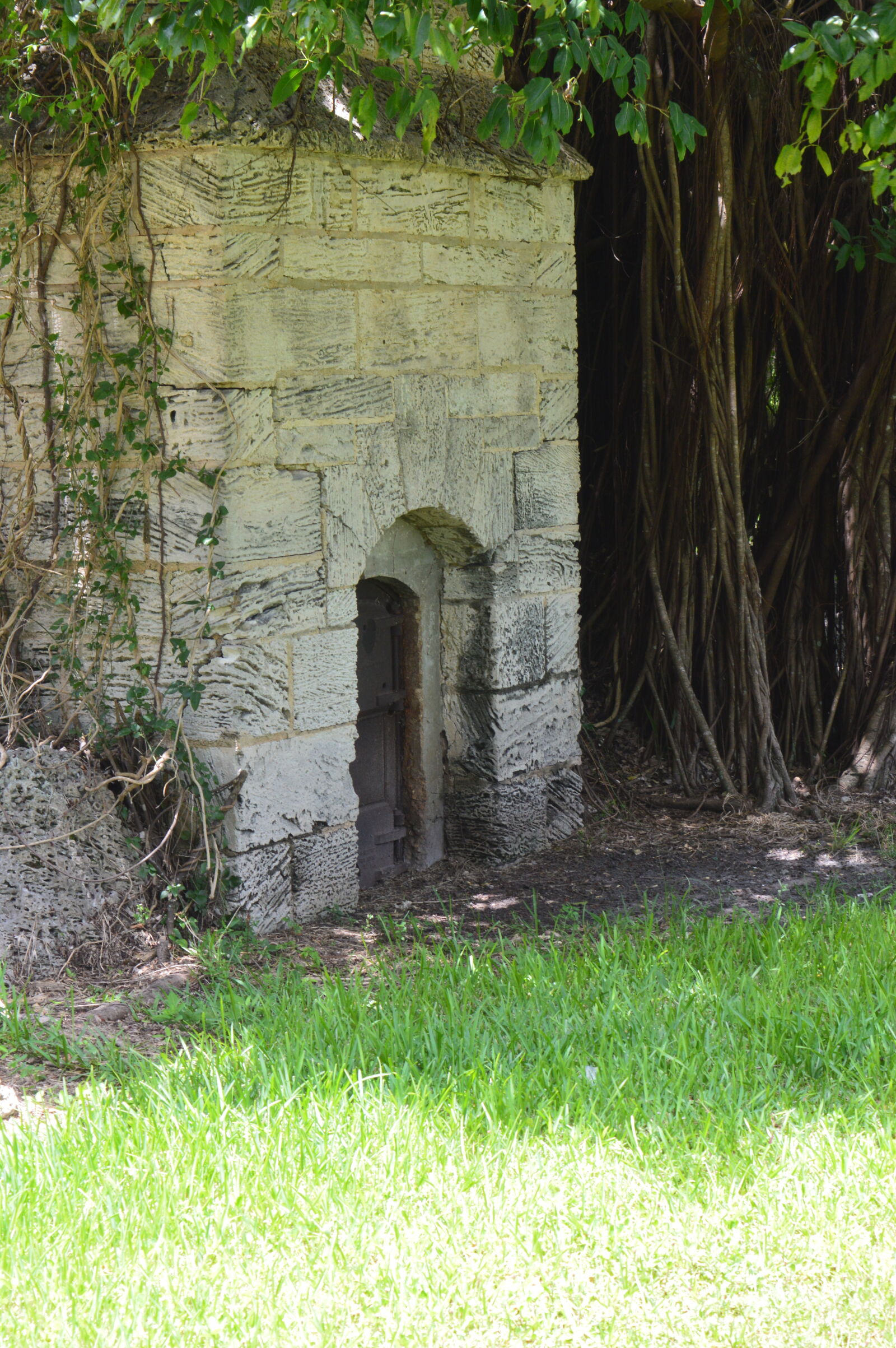 Nikon D3200 sample photo. Castle, haunted, miami, nature photography