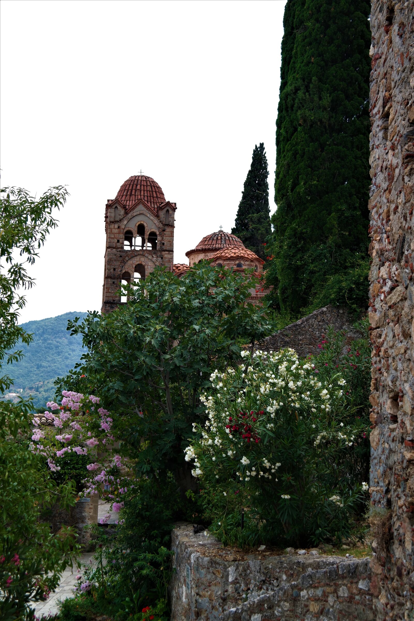 Samsung NX30 + NX 18-55mm F3.5-5.6 sample photo. Monastery, plant, nature photography