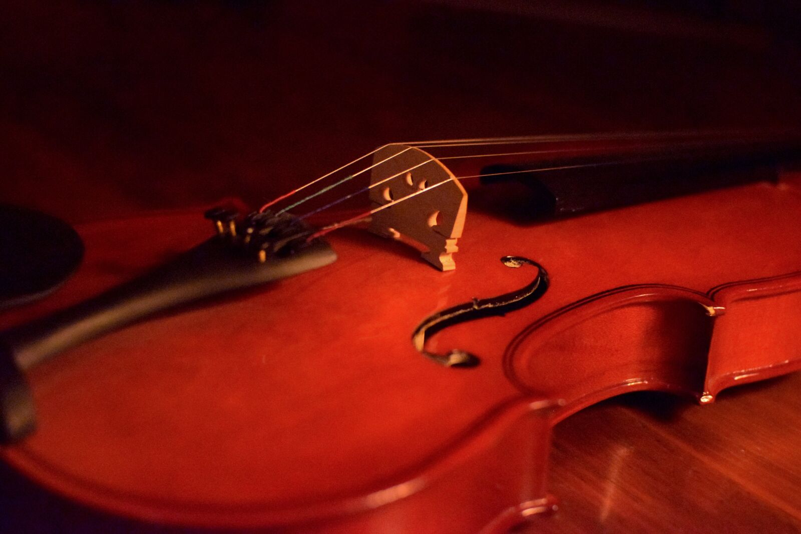 Nikon D5300 sample photo. Violin, classic music, music photography