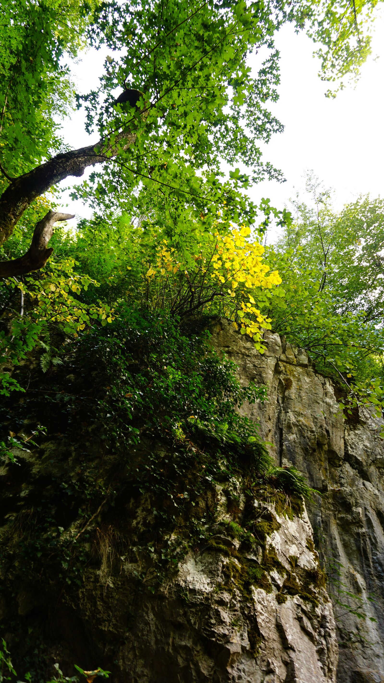 Sony a5100 sample photo. Nature, cliff, rock photography