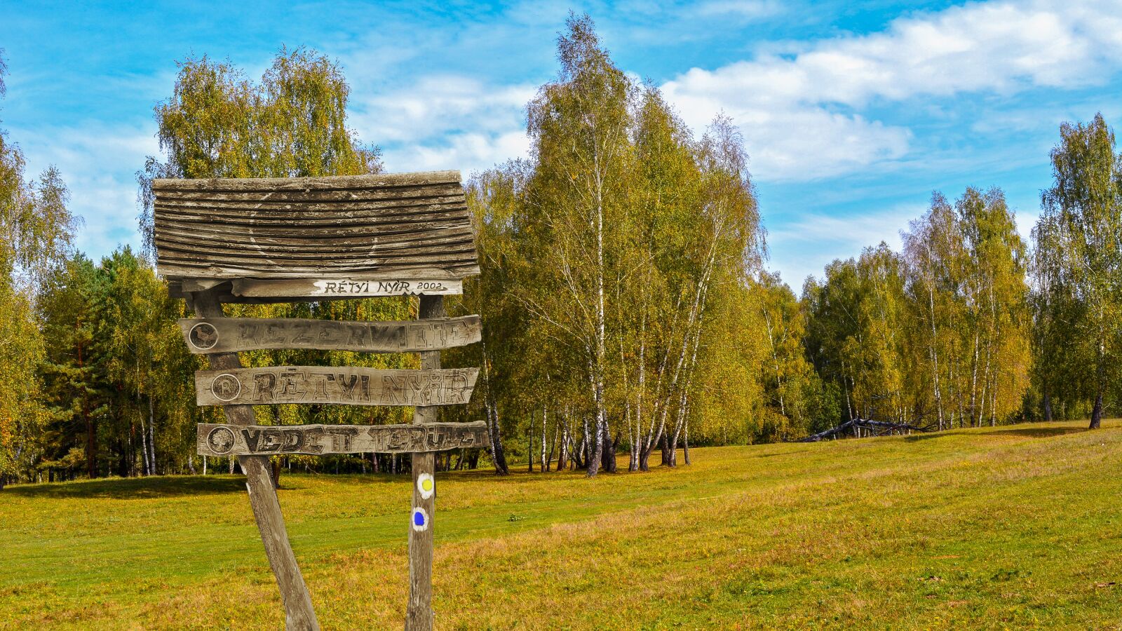 Nikon D5200 sample photo. Nature, forest, autumn photography