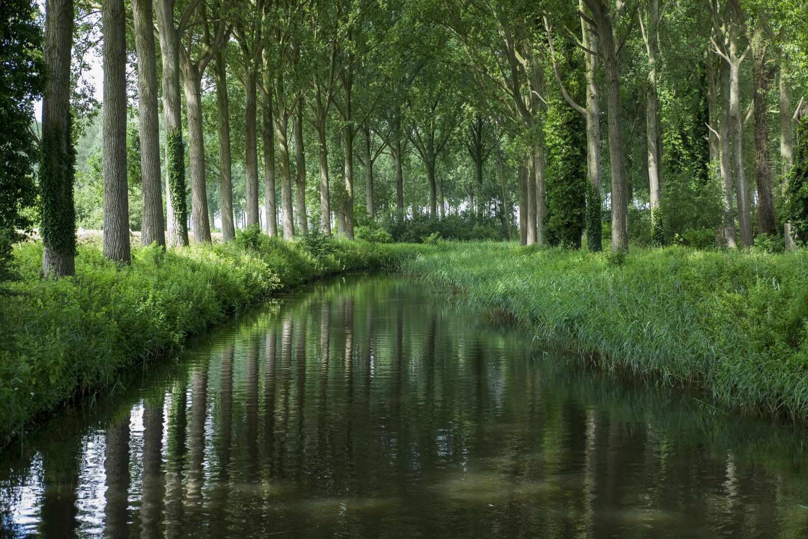 Fujifilm X-T1 + Fujifilm XF 35mm F2 R WR sample photo. Damme bruges, channel, light photography