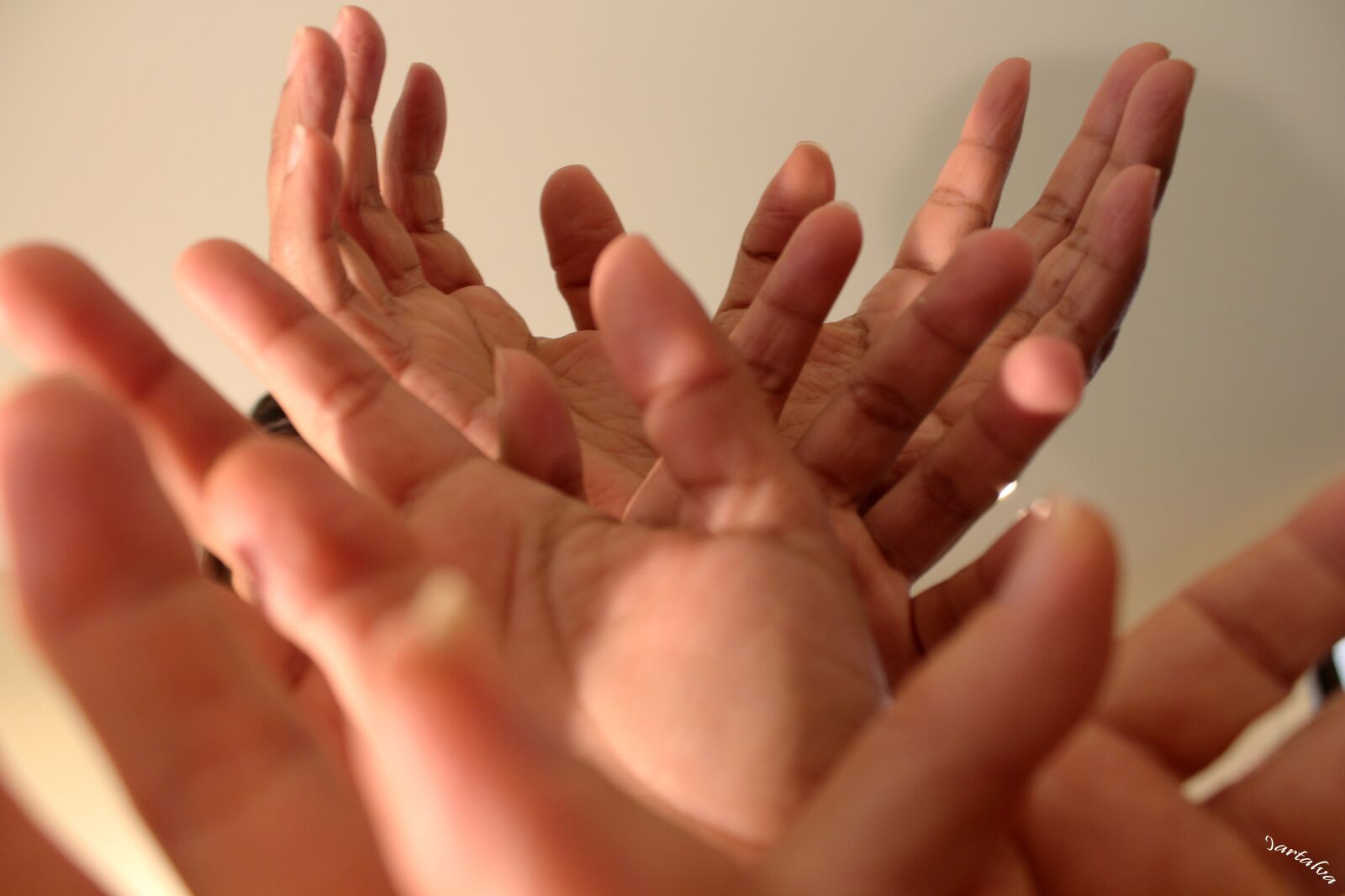 Canon EOS 650D (EOS Rebel T4i / EOS Kiss X6i) sample photo. Hands, body, fingers photography