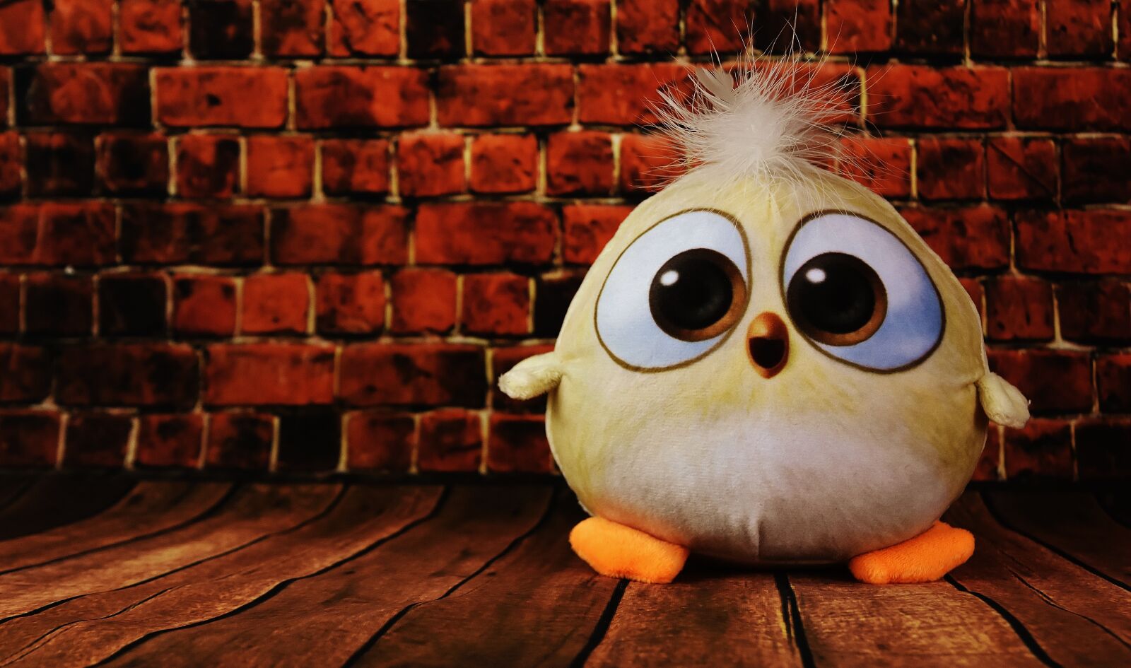 Nikon D7200 sample photo. Bird, soft toy, funny photography