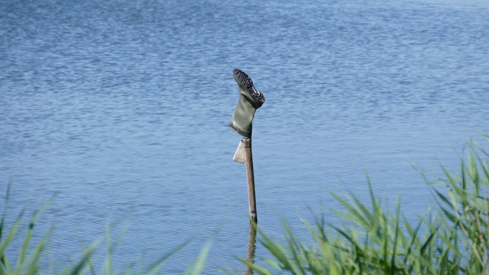 Leica V-Lux (Typ 114) sample photo. Boots, lake, reed photography