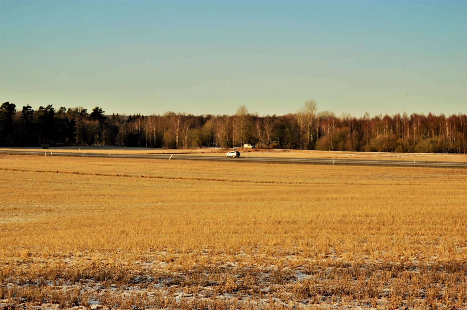 Nikon D3200 sample photo. Blue, car, day, field photography