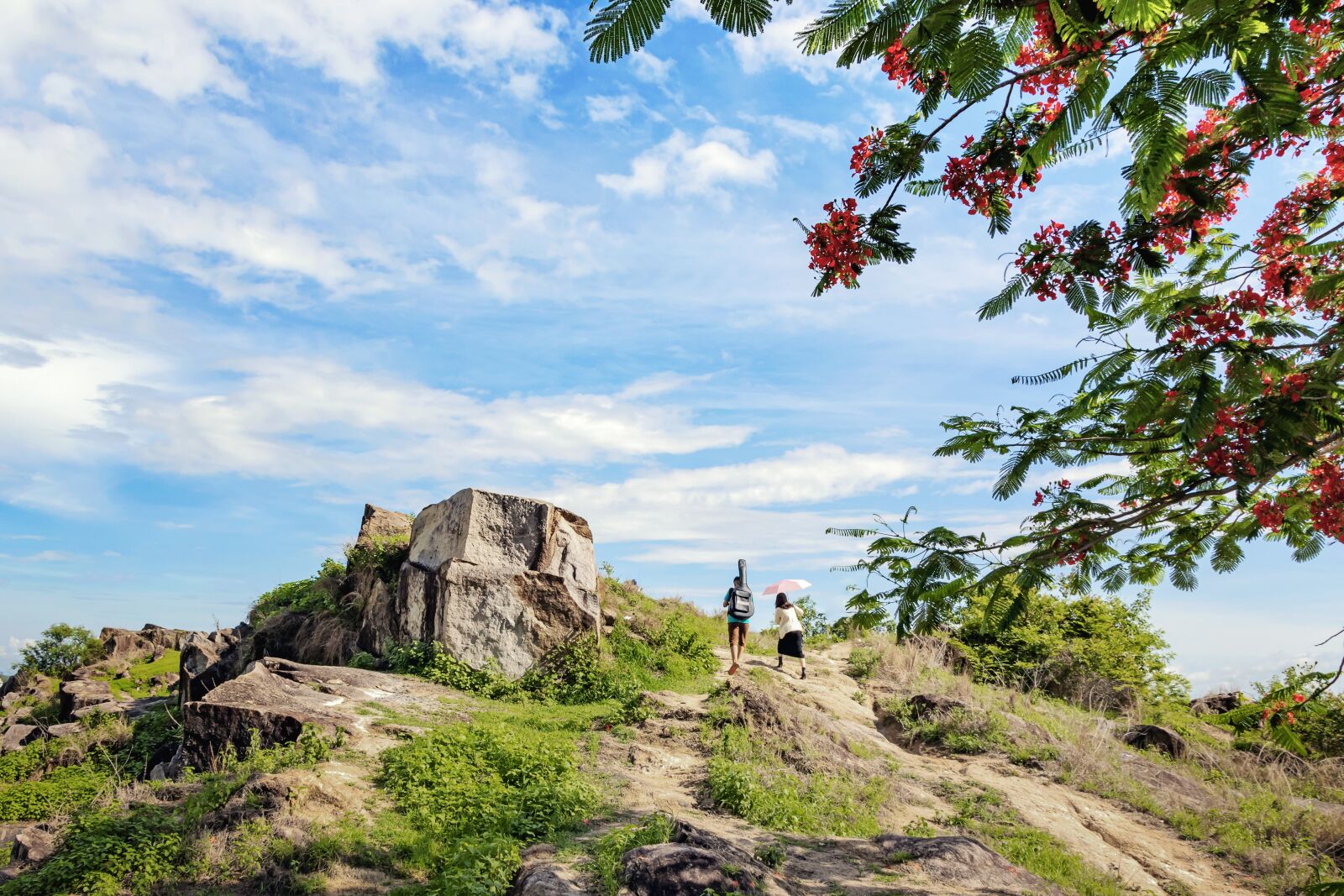 Canon EOS 7D Mark II sample photo. Vietnam, rock, flower photography