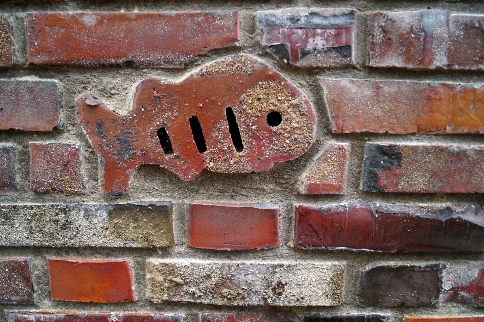Sony DT 18-55mm F3.5-5.6 SAM II sample photo. Wall, stones, fish photography