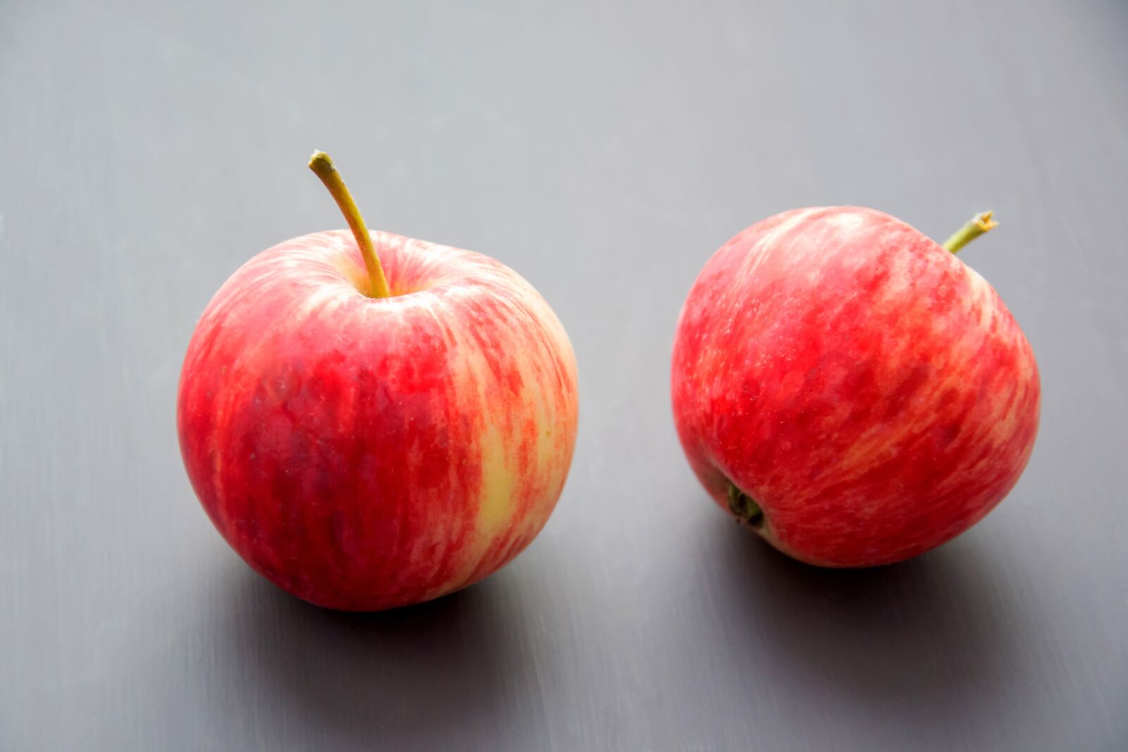 Nikon D3100 sample photo. Apples, fruit, hedge apples photography