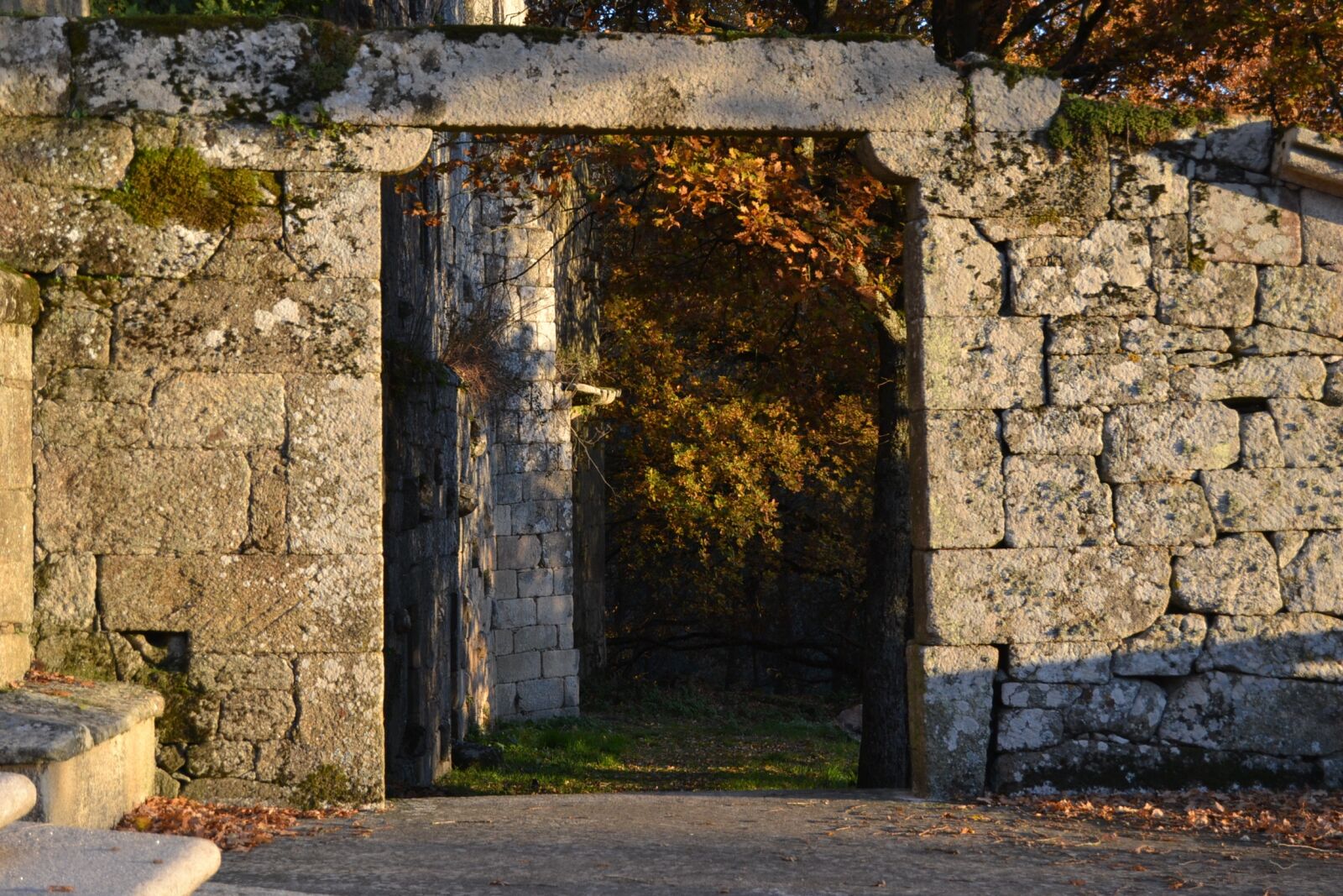 Nikon D3100 sample photo. Old, stone, wall photography