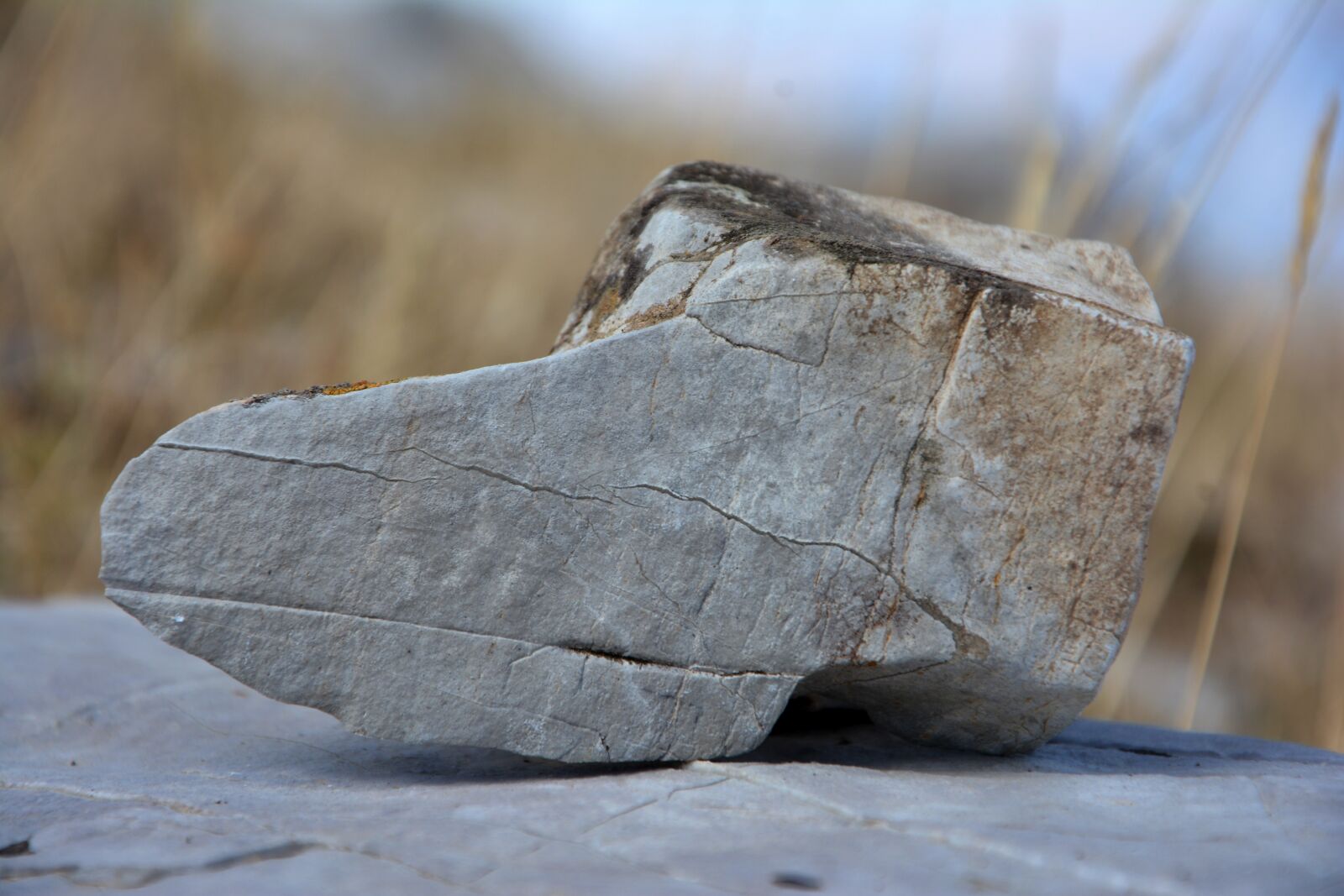 Nikon D7100 sample photo. Kennedy, stone, macro photography