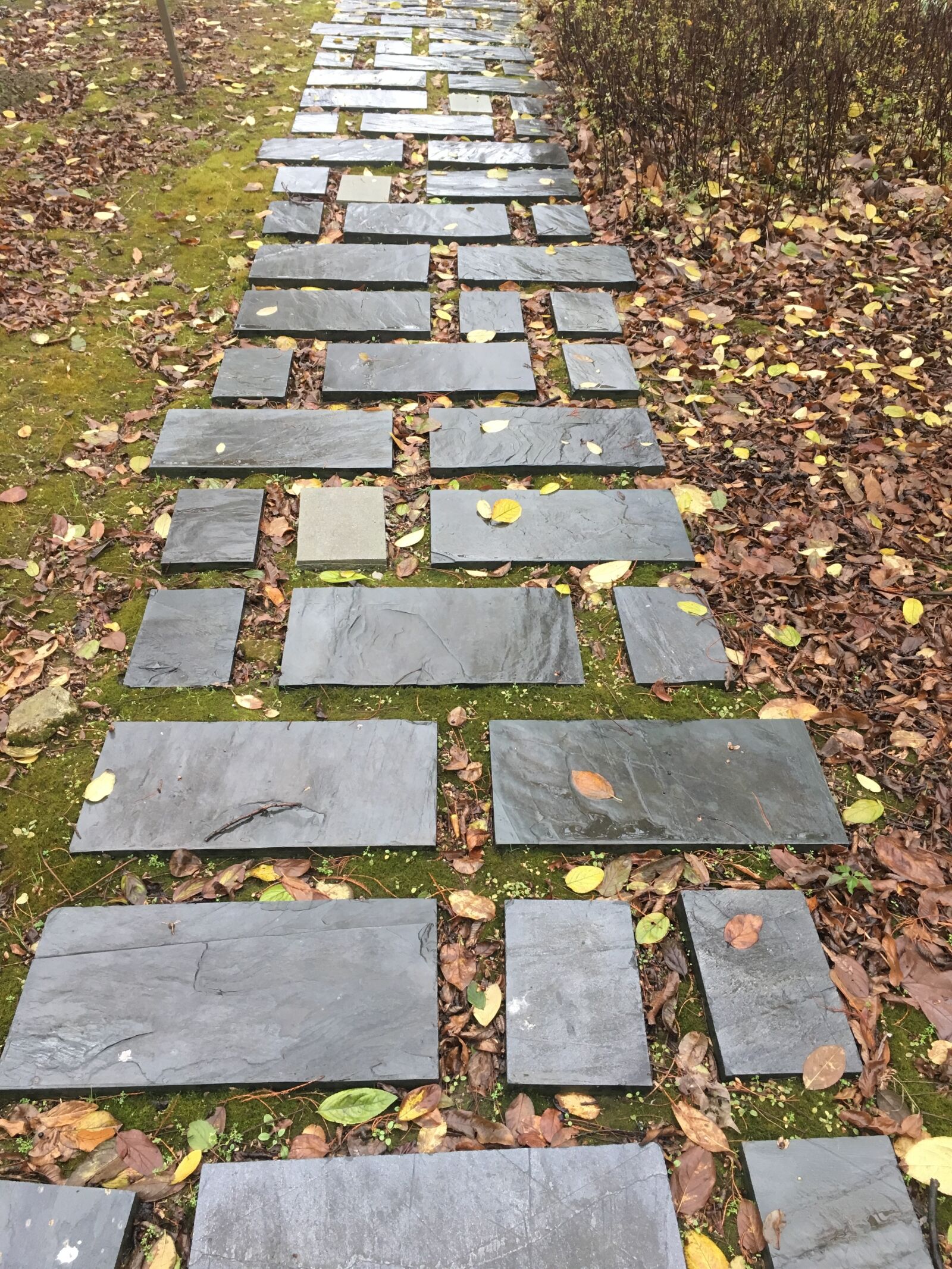 Apple iPhone 6s sample photo. Stone path, the i photography