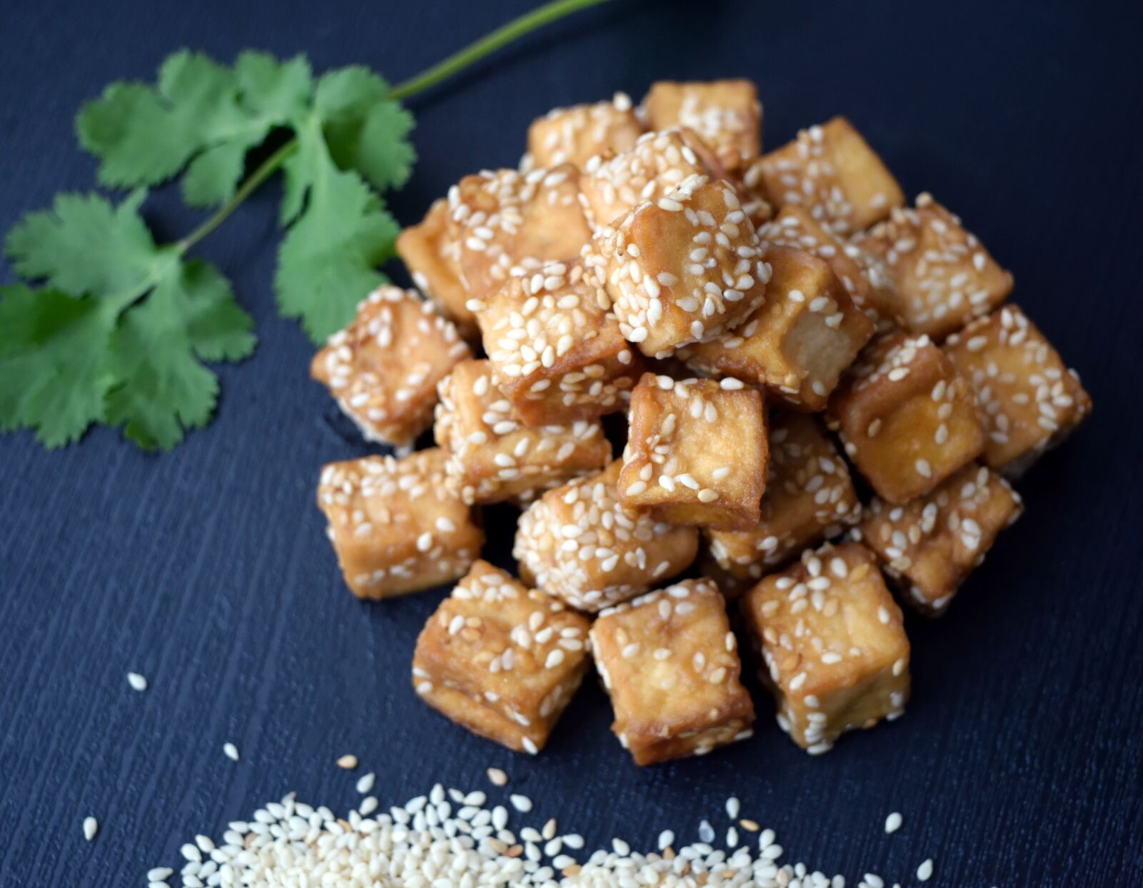 Nikon D3300 sample photo. Tofu, sesame, flat photography