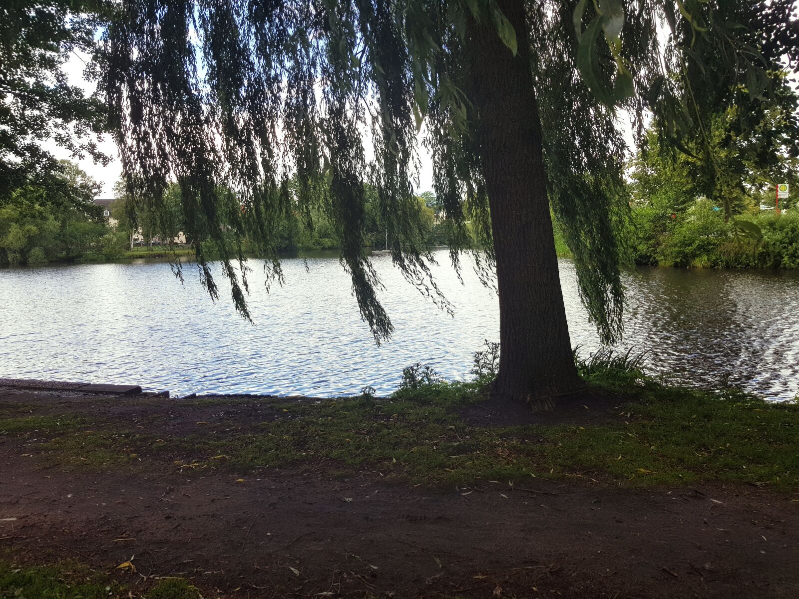 Samsung Galaxy S8 sample photo. Pasture, lake, weeping willow photography