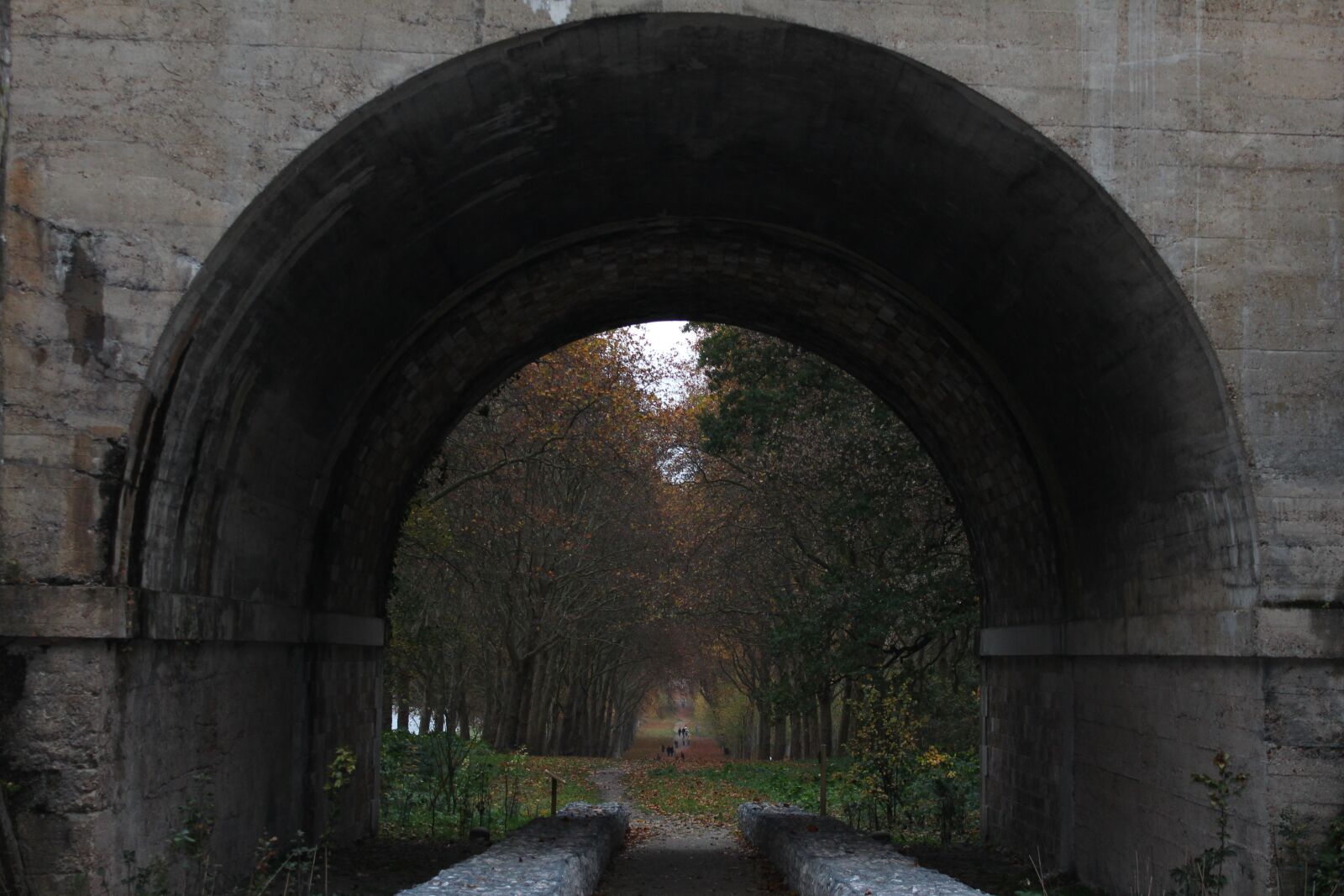 Canon EOS 600D (Rebel EOS T3i / EOS Kiss X5) sample photo. Trees, autumn, nature photography