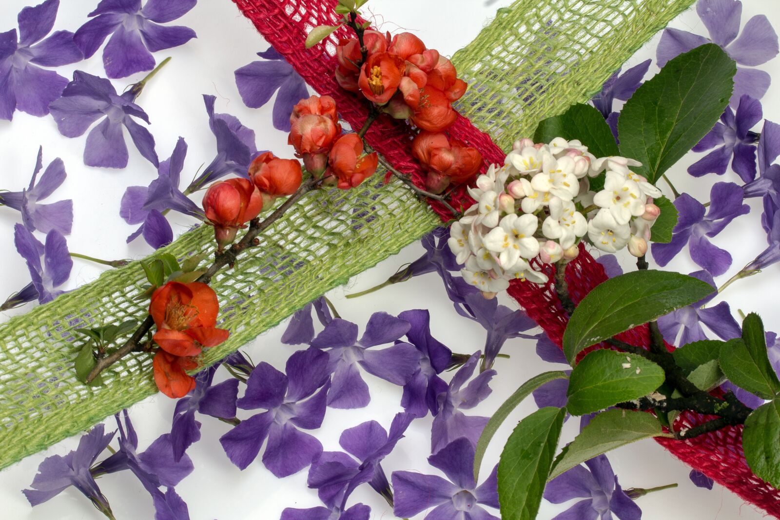 Canon EF-S 60mm F2.8 Macro USM sample photo. Flowers, composition, decoration photography