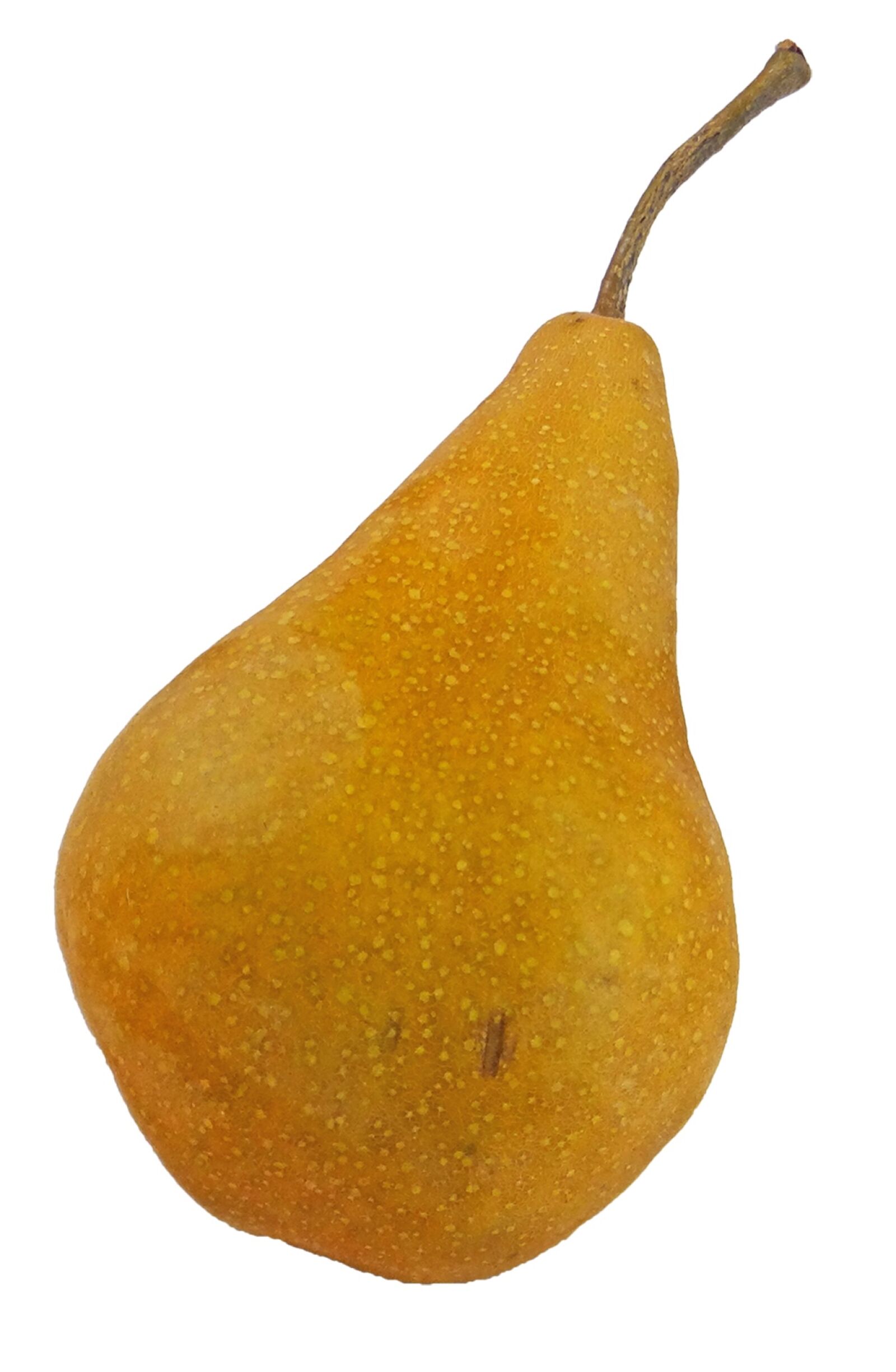 Sony Cyber-shot DSC-HX100V sample photo. Pear, bosc, bosc pear photography