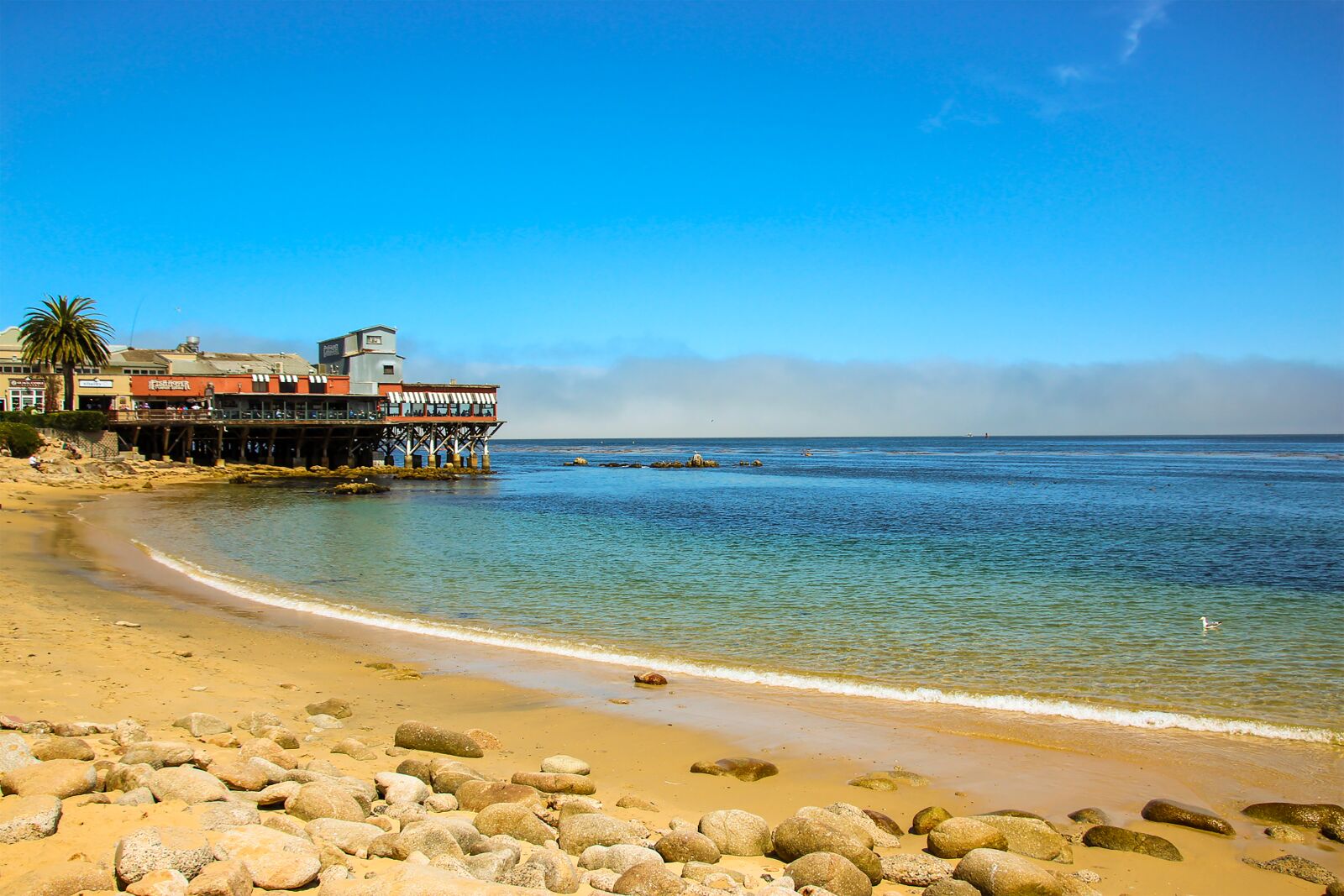 Canon EOS 600D (Rebel EOS T3i / EOS Kiss X5) sample photo. Monterey, wharf, california photography