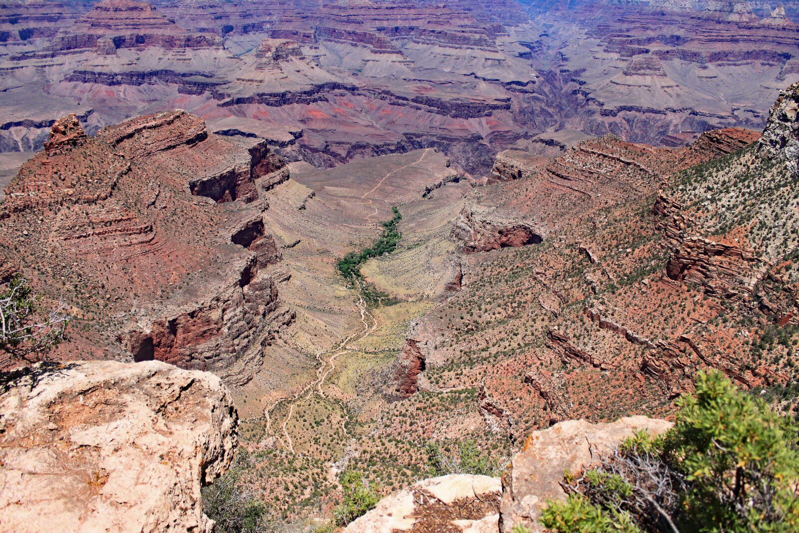 Canon EOS 500D (EOS Rebel T1i / EOS Kiss X3) sample photo. Grand canyon, landscape, nature photography