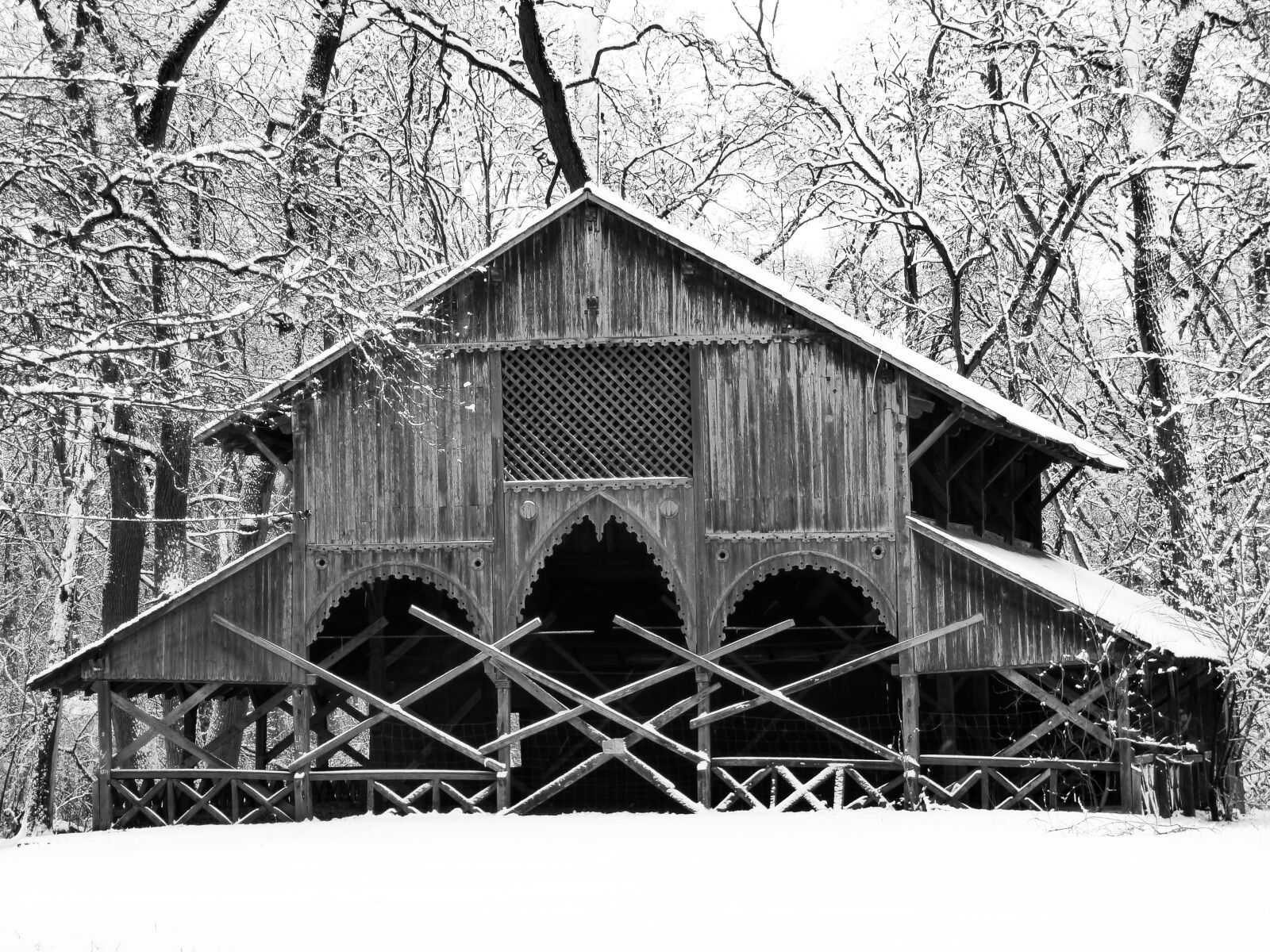 Panasonic DMC-FZ72 sample photo. Winter, snow, nature photography