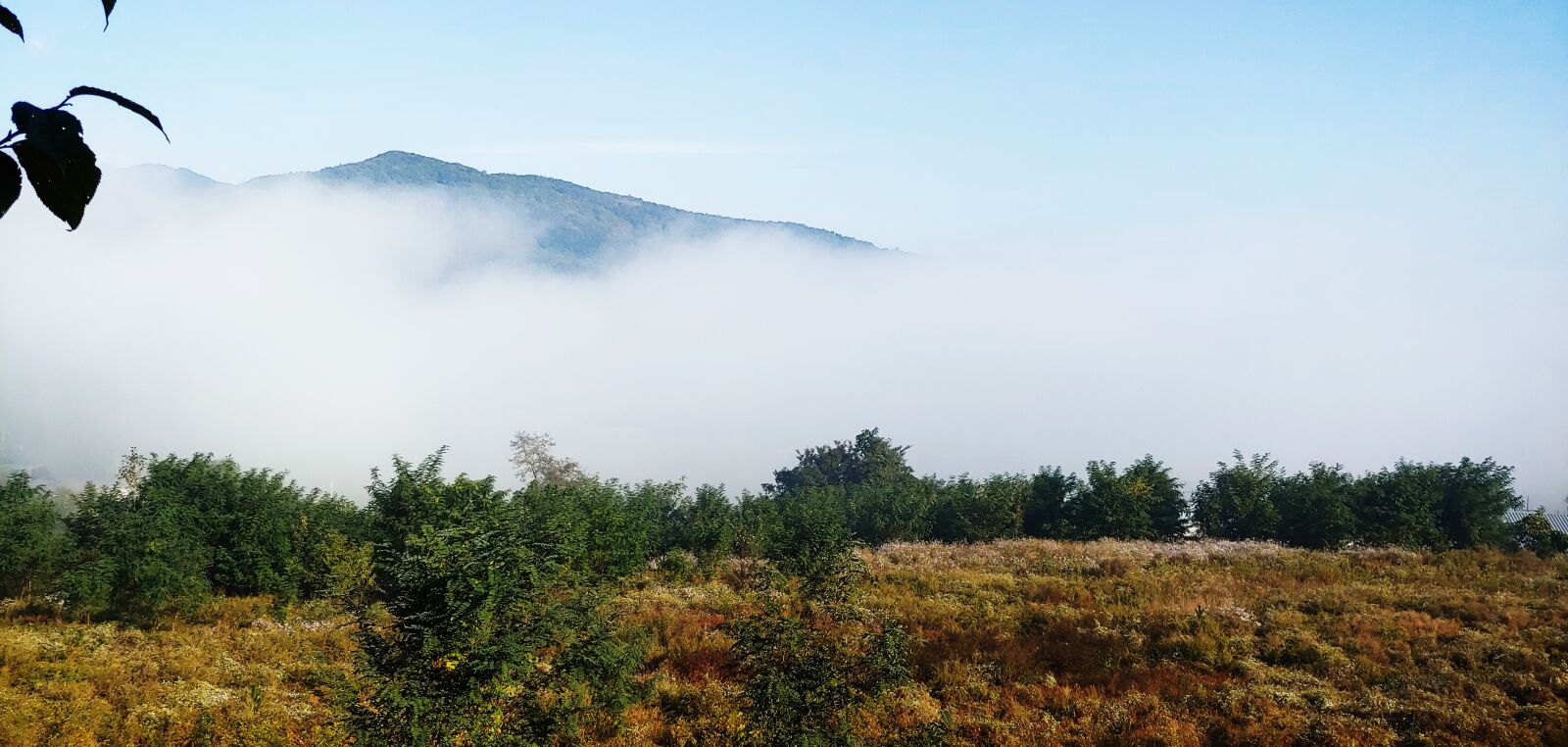LG LM-G710N sample photo. Nature, fog, cloud photography