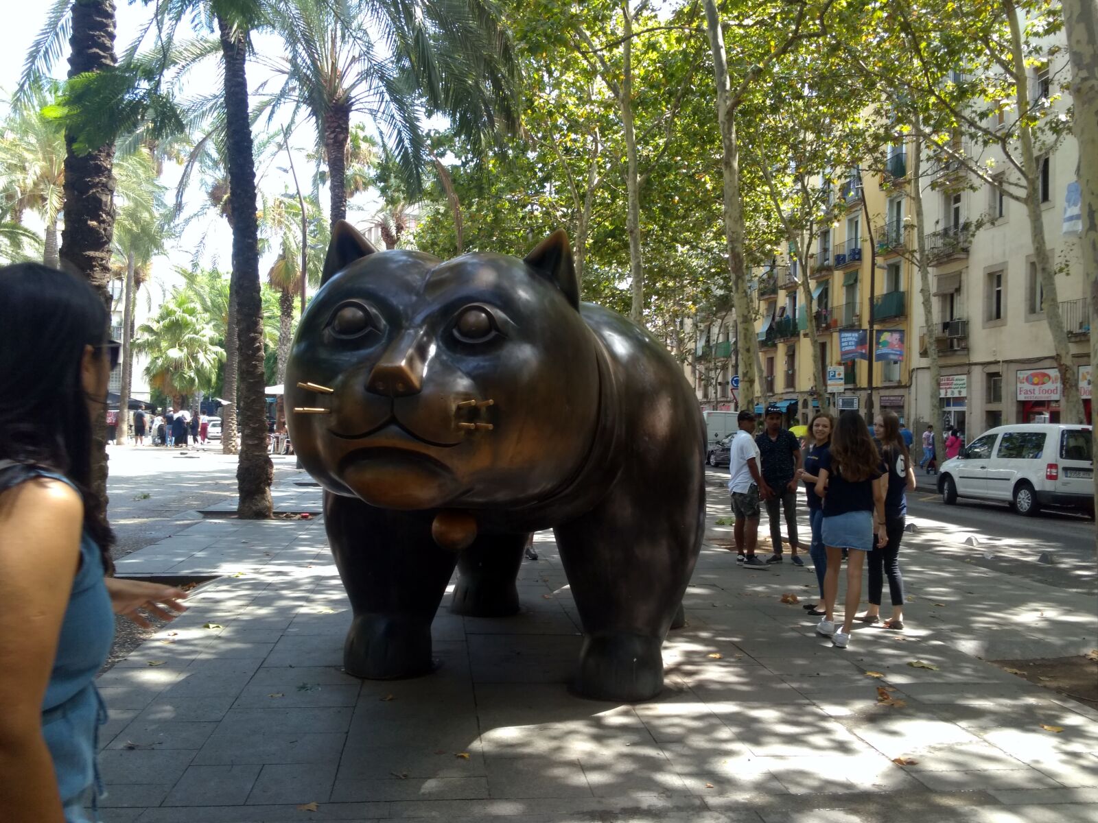 QCOM-AA QCAM-AA sample photo. Artist, cat, barcelona photography