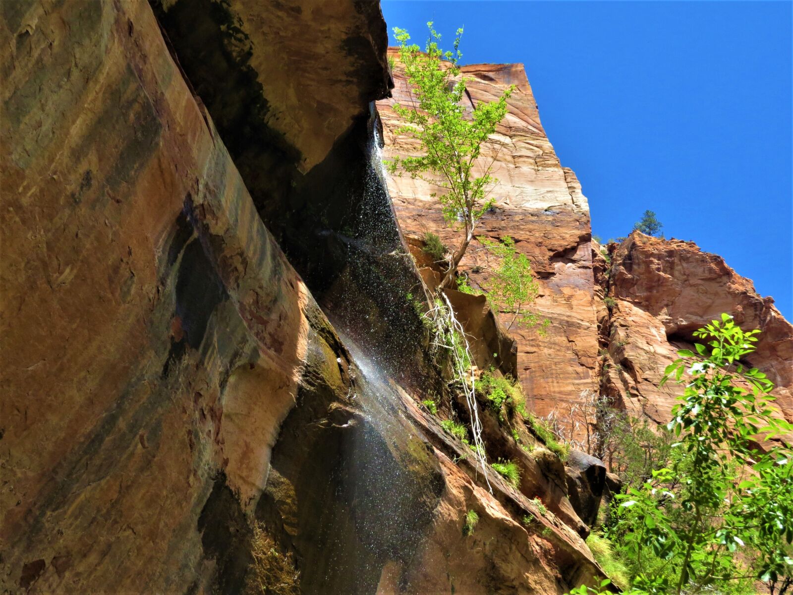 Canon PowerShot SX50 HS sample photo. Waterfall, hiking, utah photography