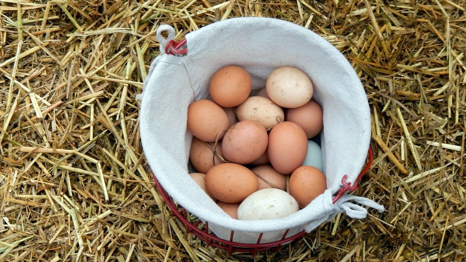 Nikon COOLPIX S9600 sample photo. Eggs, farm, breakfast photography