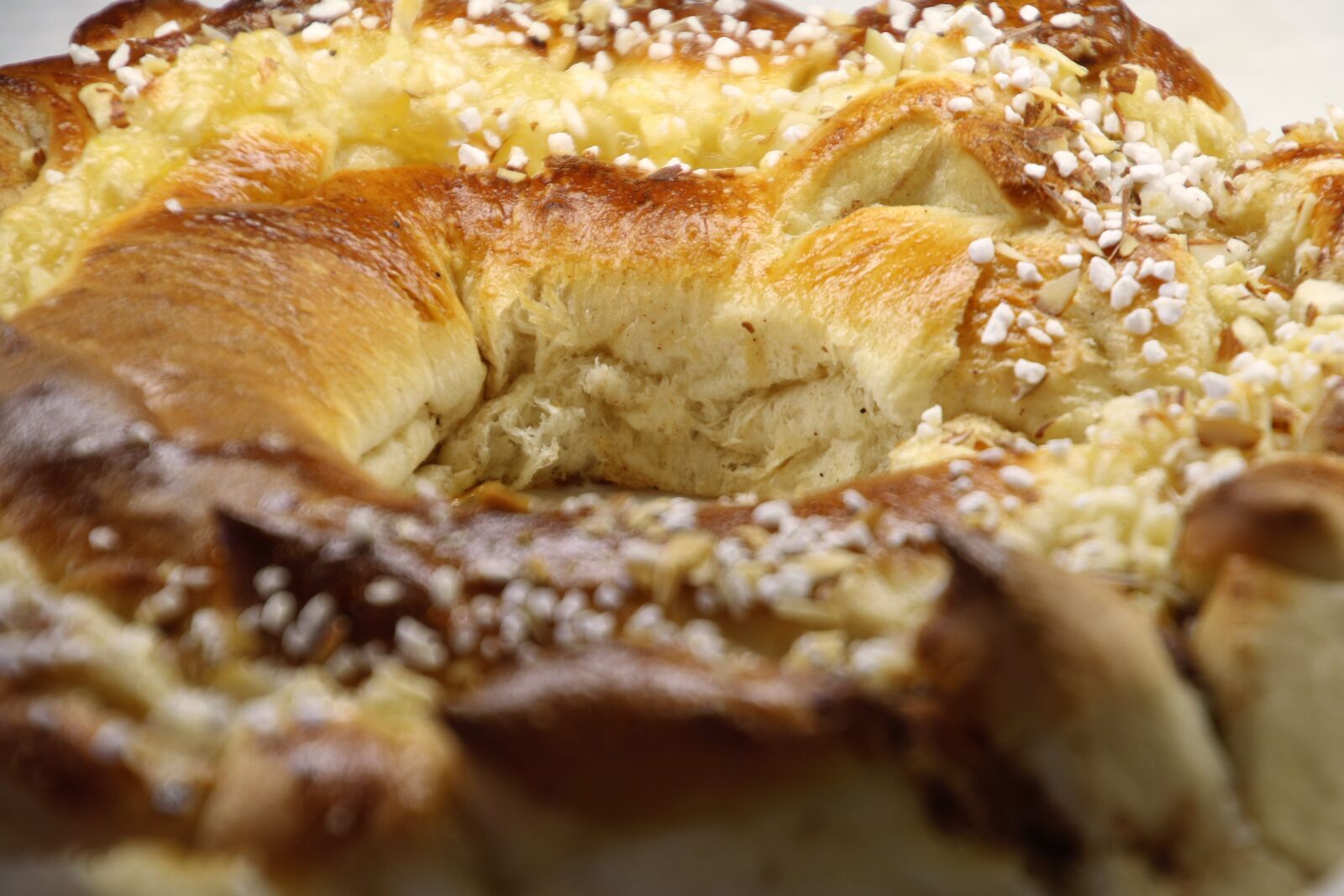 Canon EOS 7D Mark II sample photo. Baker, bakery, bread, circle photography