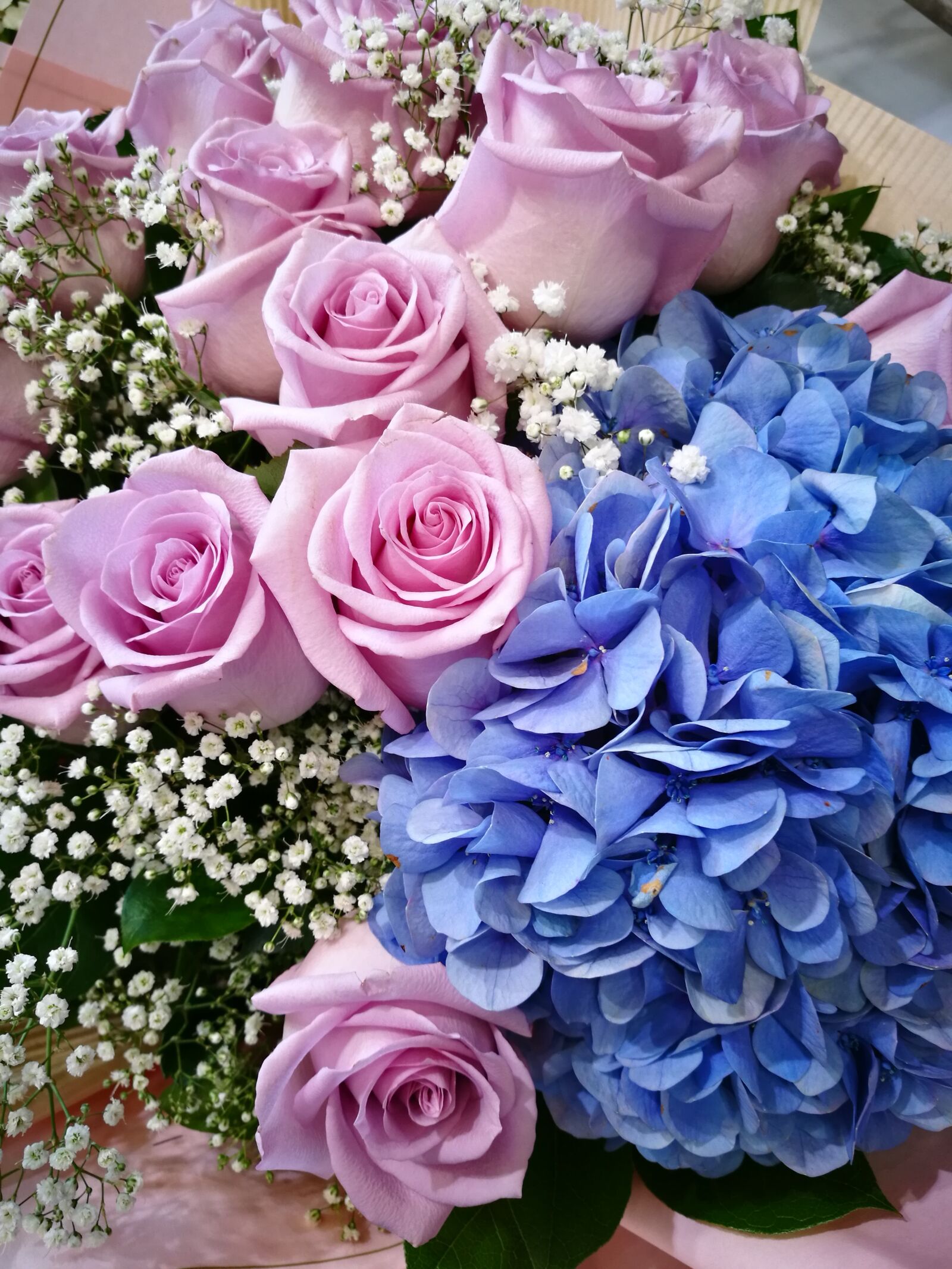 HUAWEI P9 sample photo. Flower, rose, bouquet photography