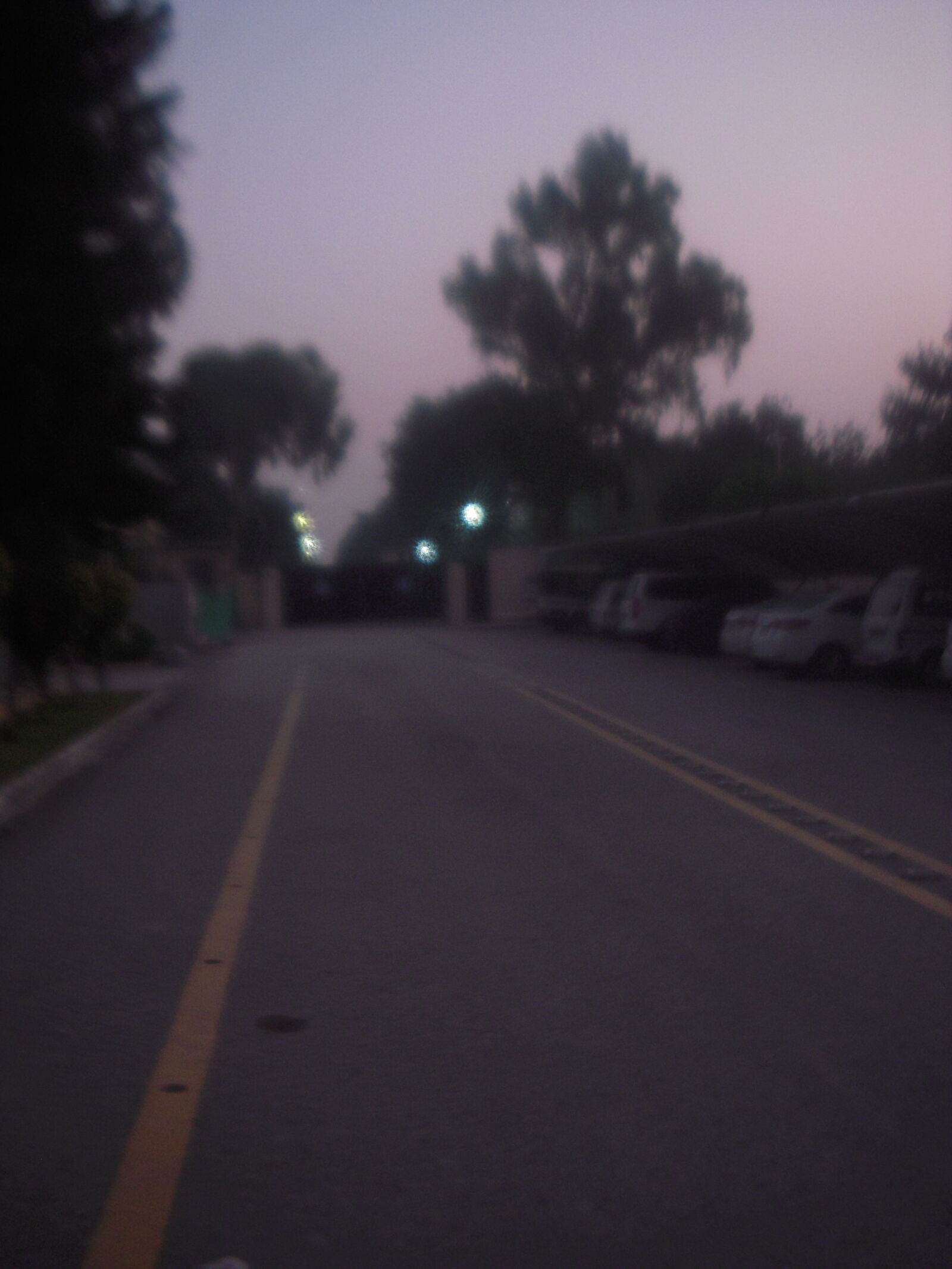 Nikon Coolpix S52 sample photo
