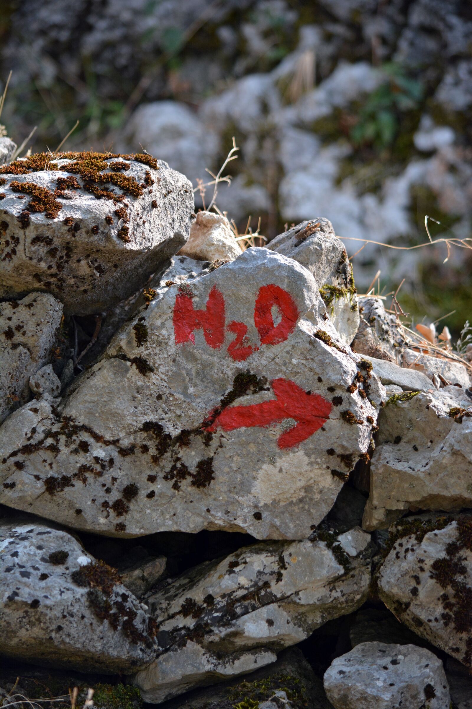 Nikon D5200 sample photo. Guide mark, marker, sign photography