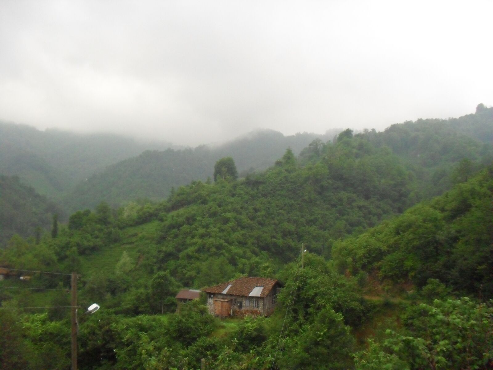 Samsung ES60 / VLUU ES60 /  SL105 /  ES63 sample photo. Nature, village, forest photography