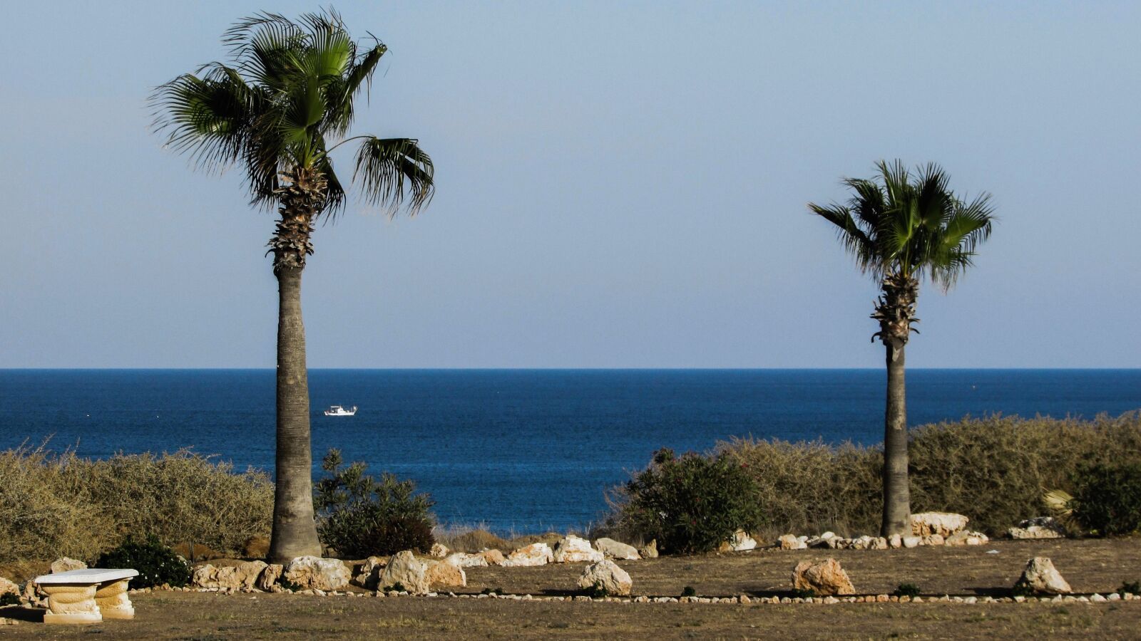 Canon PowerShot SX400 IS sample photo. Garden, palm trees, property photography