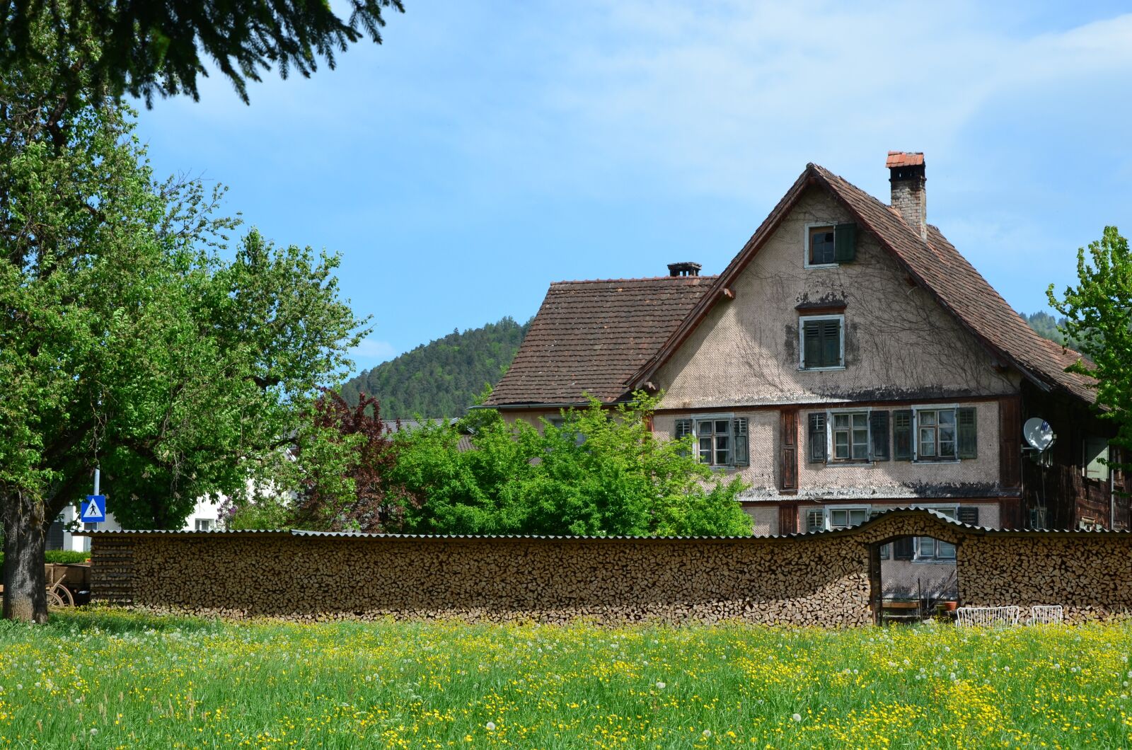 Nikon D5100 sample photo. Spring, meadow, green photography