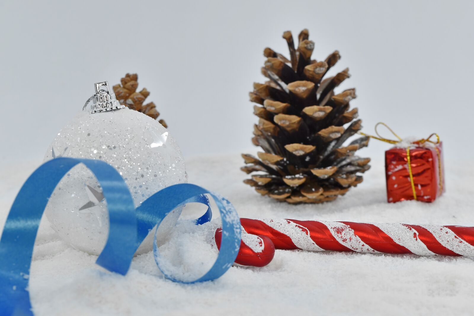 Nikon D5500 sample photo. Cone, winter, snow, tree photography