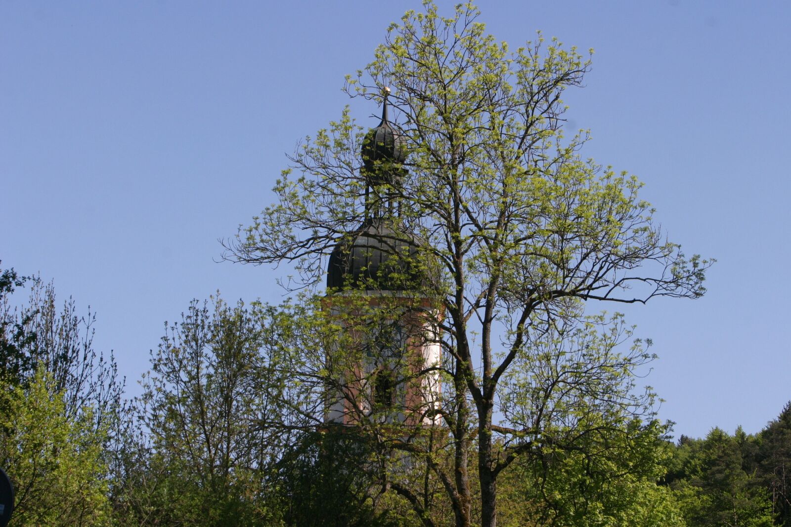 Canon EOS 10D sample photo. Church, spring, trees photography