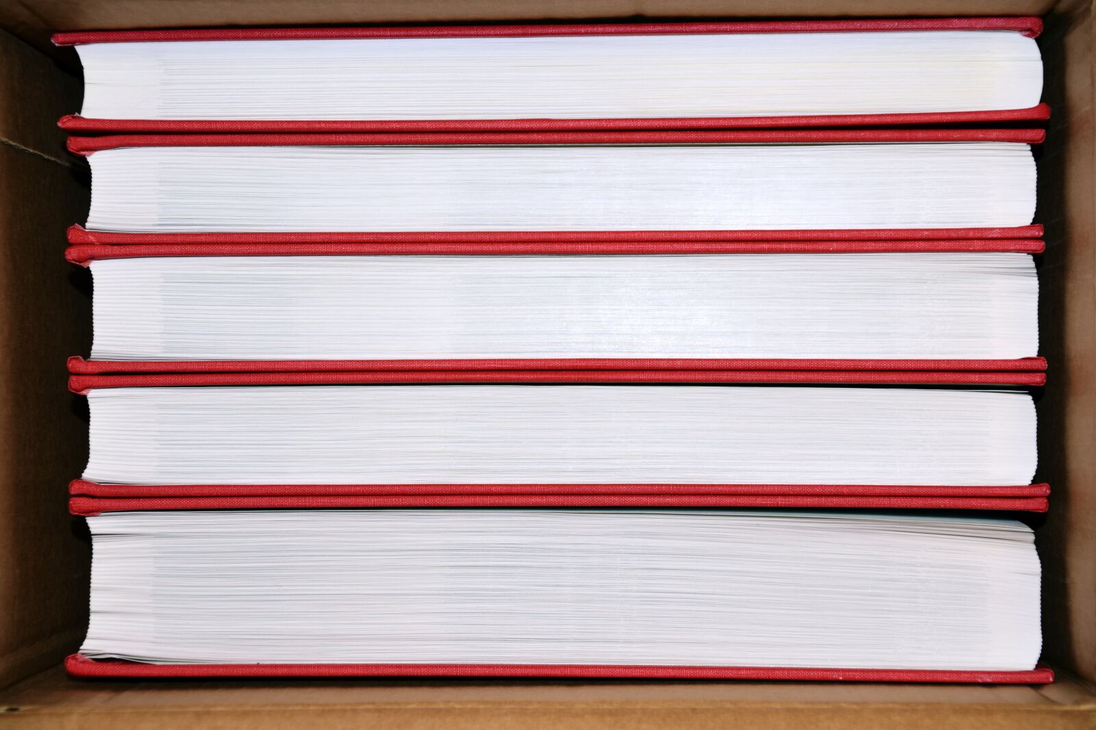 Nikon D3300 sample photo. Books, books crate, read photography