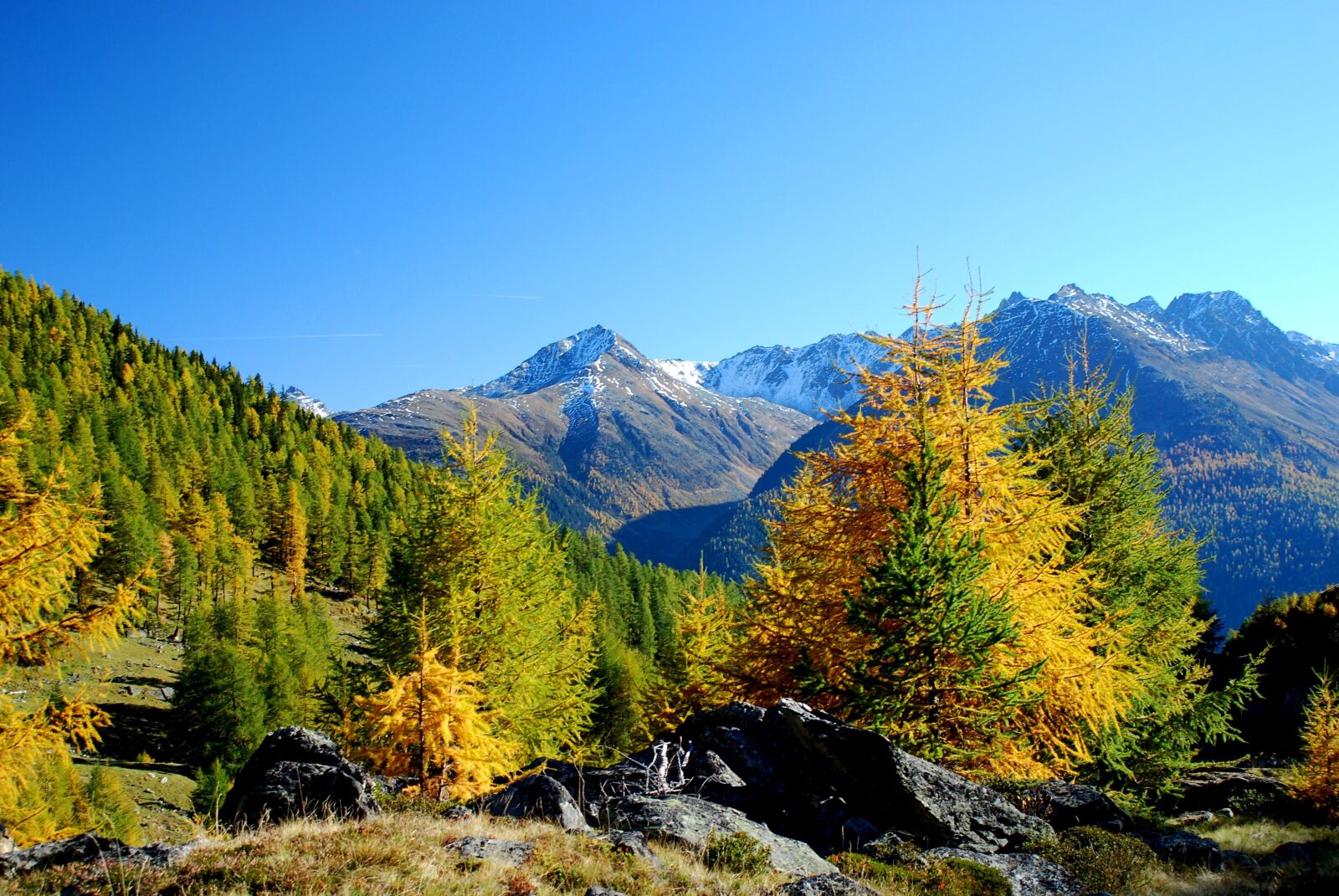 Nikon D80 sample photo. Mountain panorama, larch, autumn photography