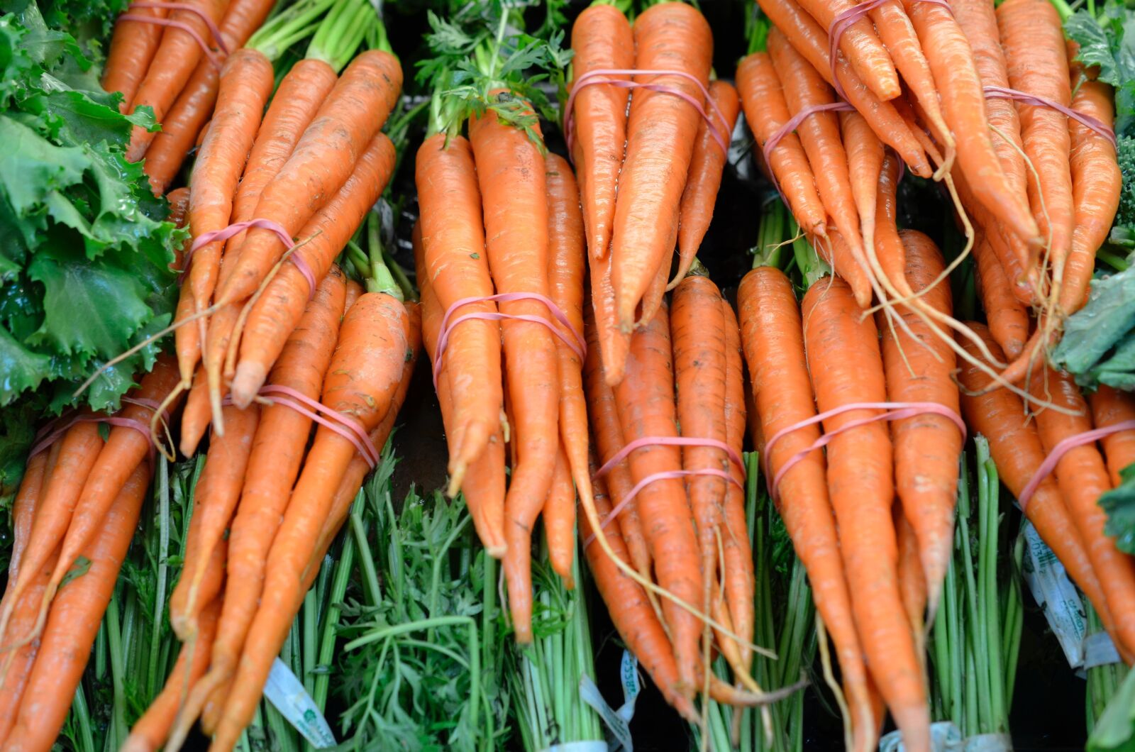 Nikon D7000 sample photo. Carrots, orange, veg photography