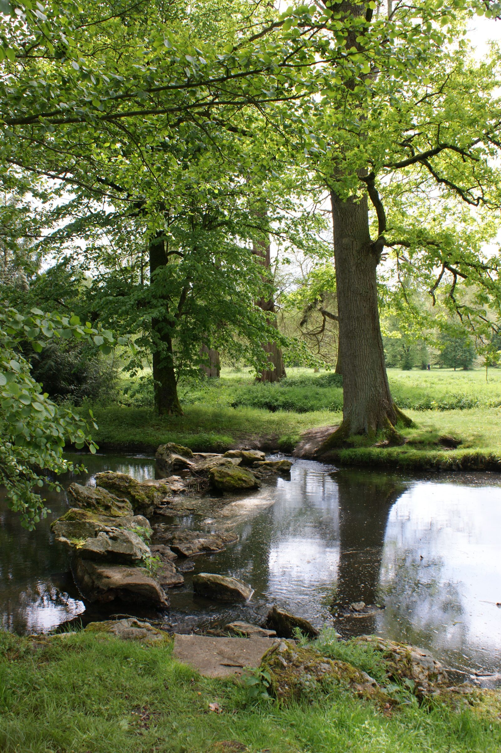 Sony Alpha DSLR-A350 sample photo. Landscape, water, nature photography